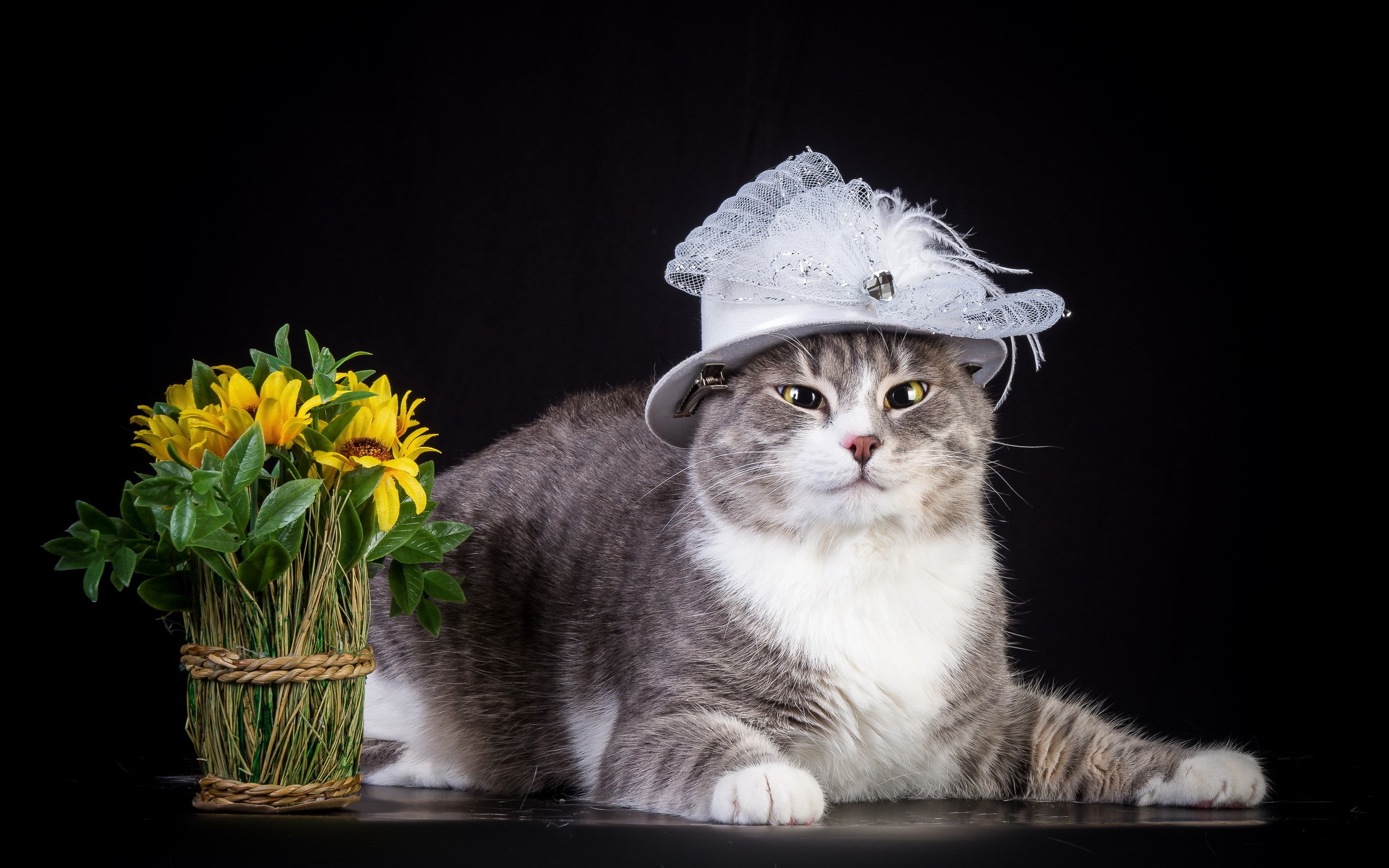Cat wearing a white hat with flowers HD Wallpaper