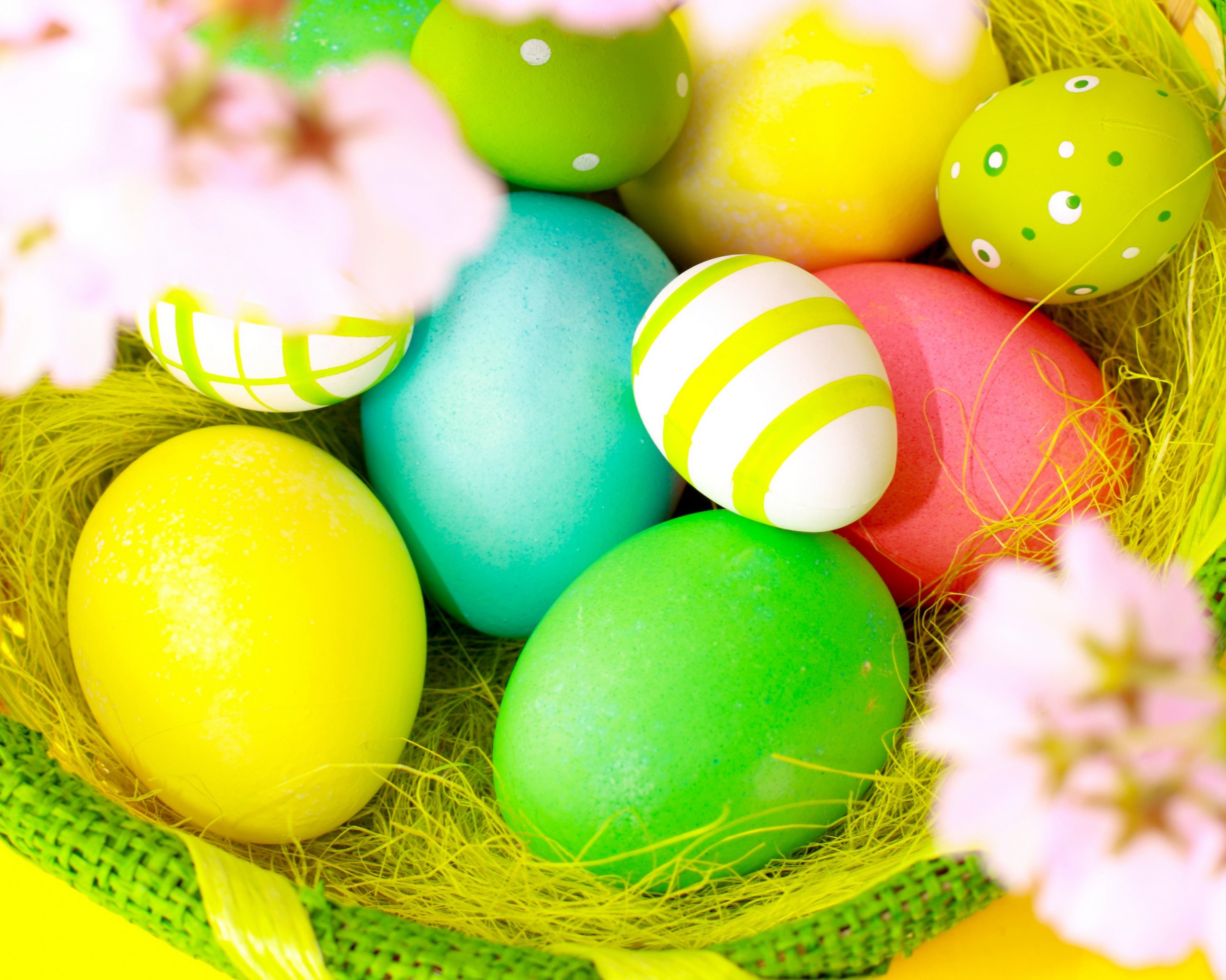 Easter Eggs in a Nest with Flowers HD Wallpaper