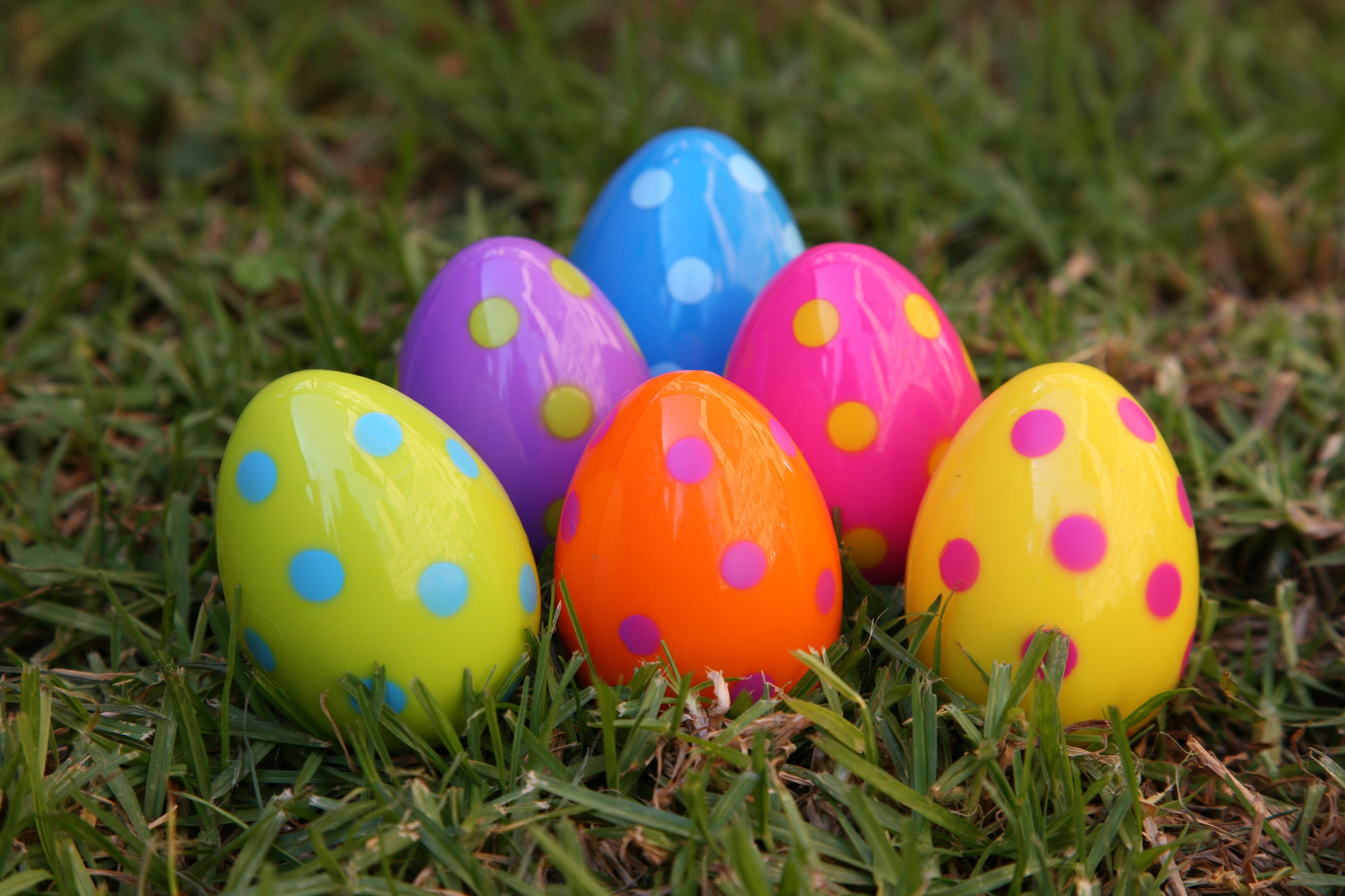 Polka Dot Easter Eggs on Grass HD Wallpaper