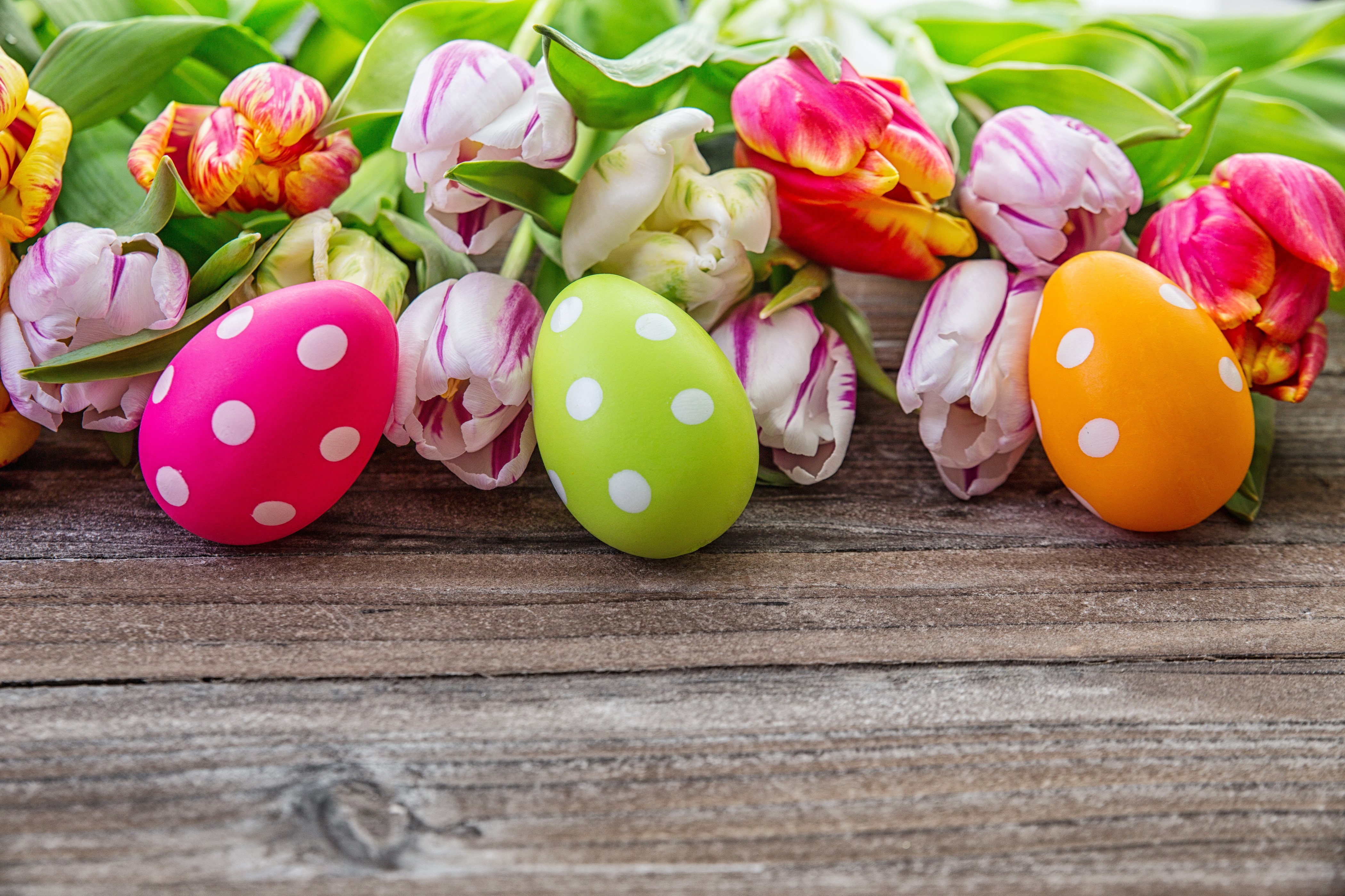 Easter eggs and tulips on wooden background HD Wallpaper