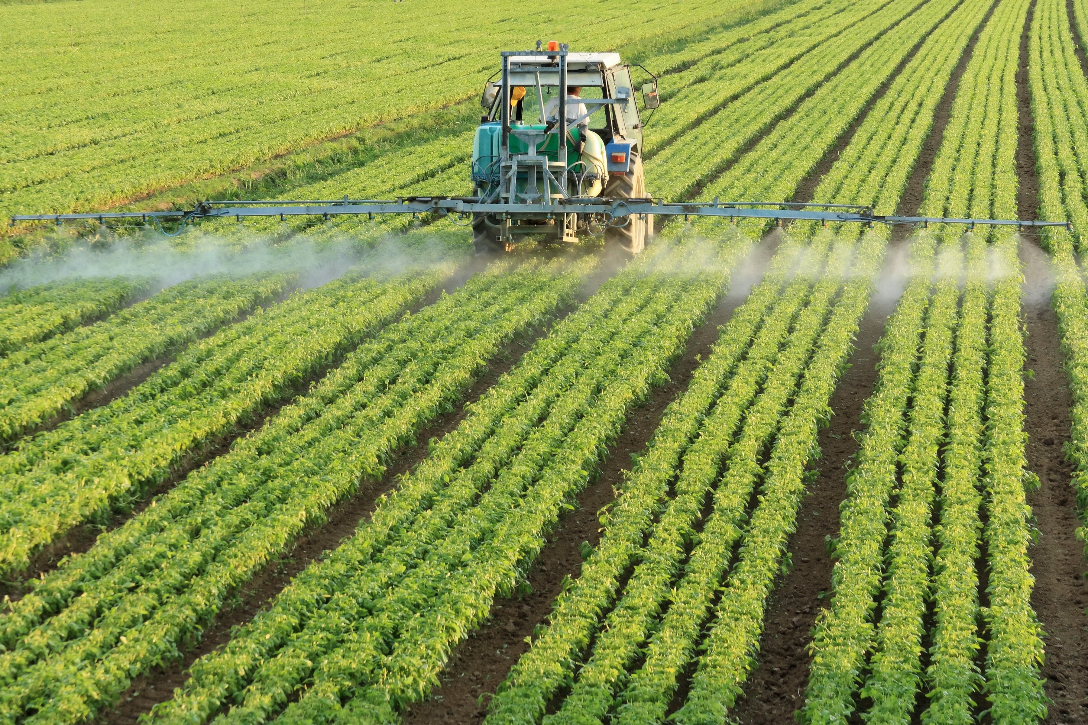 Tractor spraying crops in a field HD Wallpaper