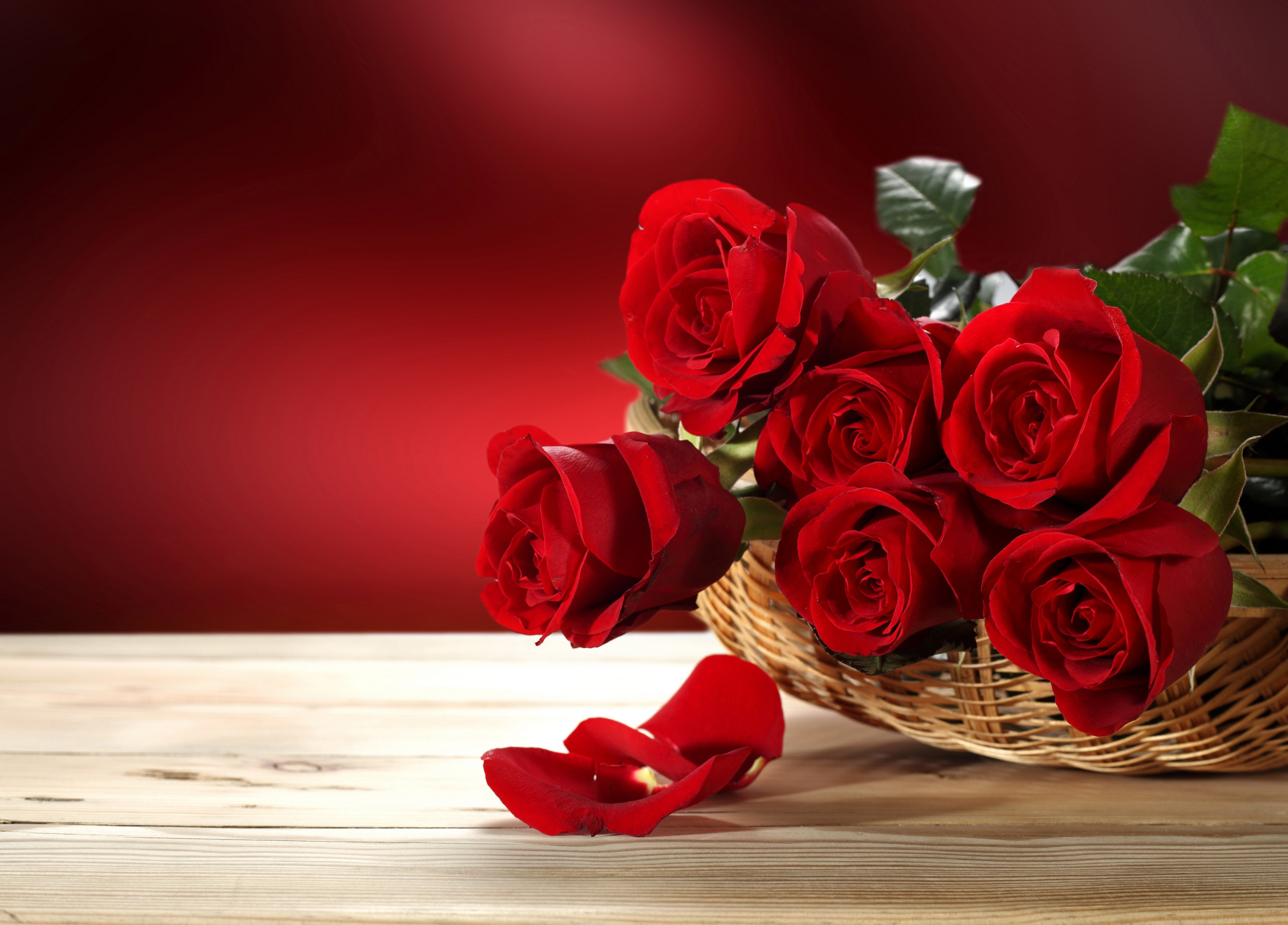 Red Roses in a Wicker Basket with Petals HD Wallpaper