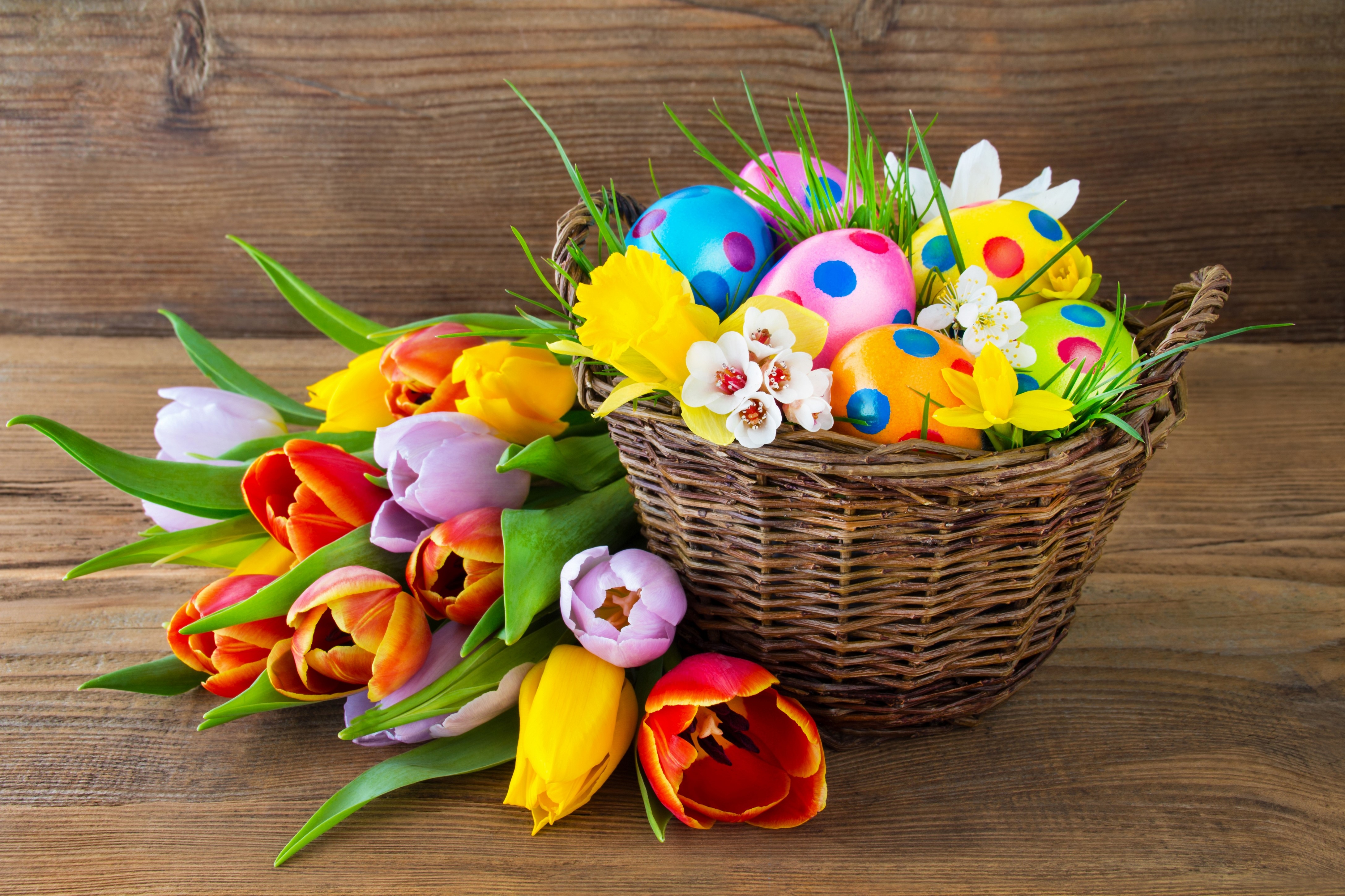 Easter basket with tulips and decorated eggs HD Wallpaper