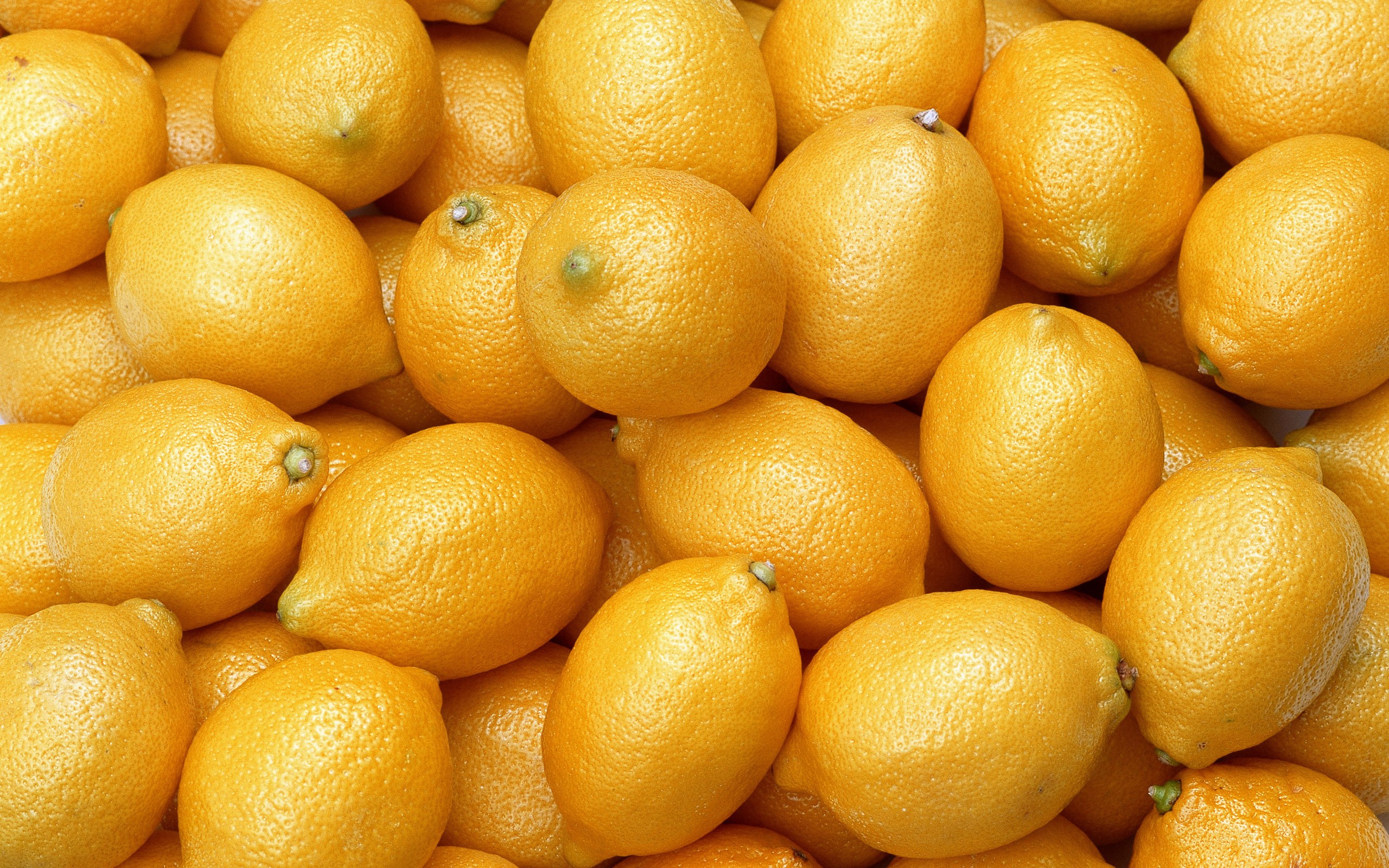 A close-up view of a pile of yellow lemons HD Wallpaper