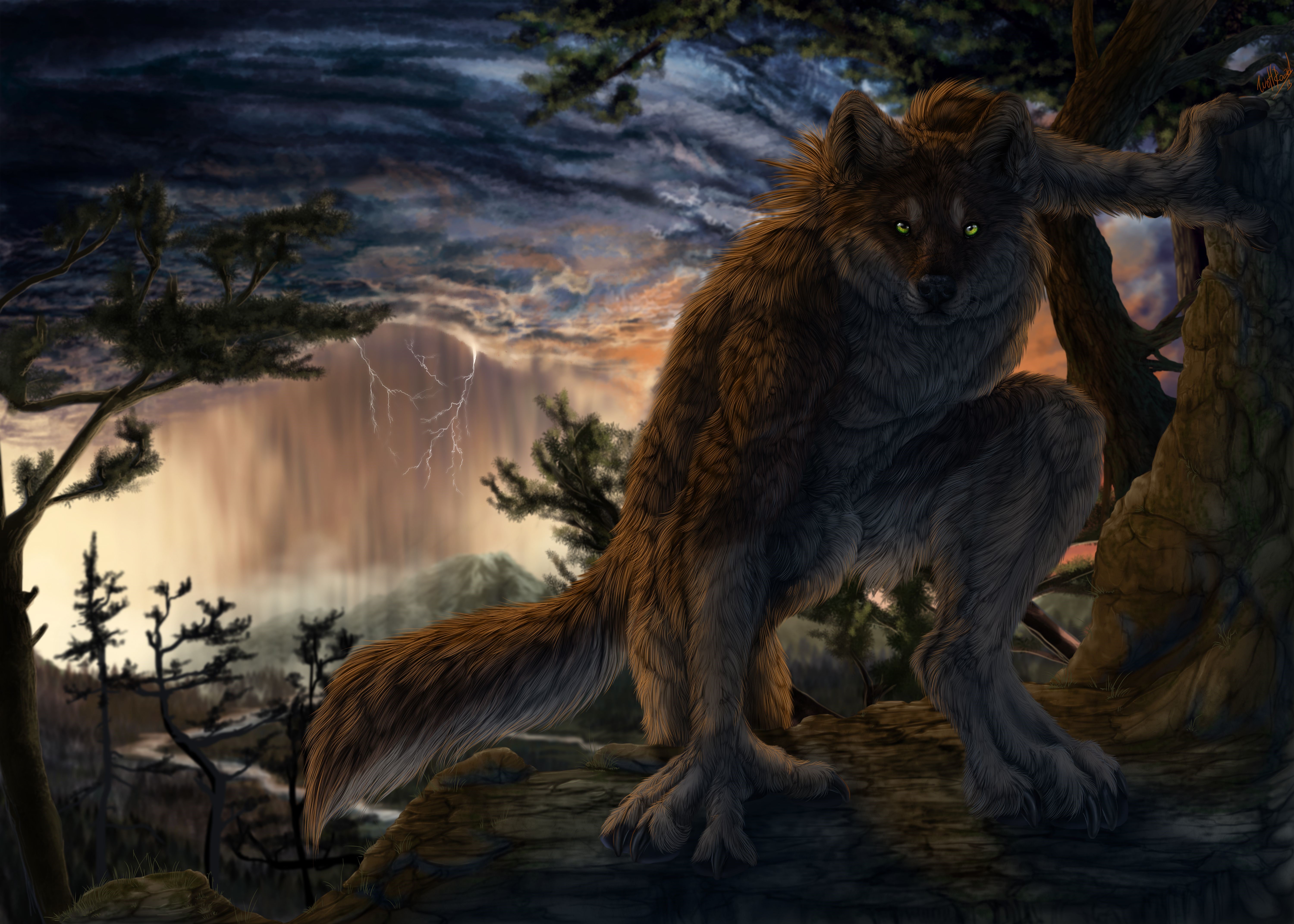 Werewolf in a stormy forest HD Wallpaper