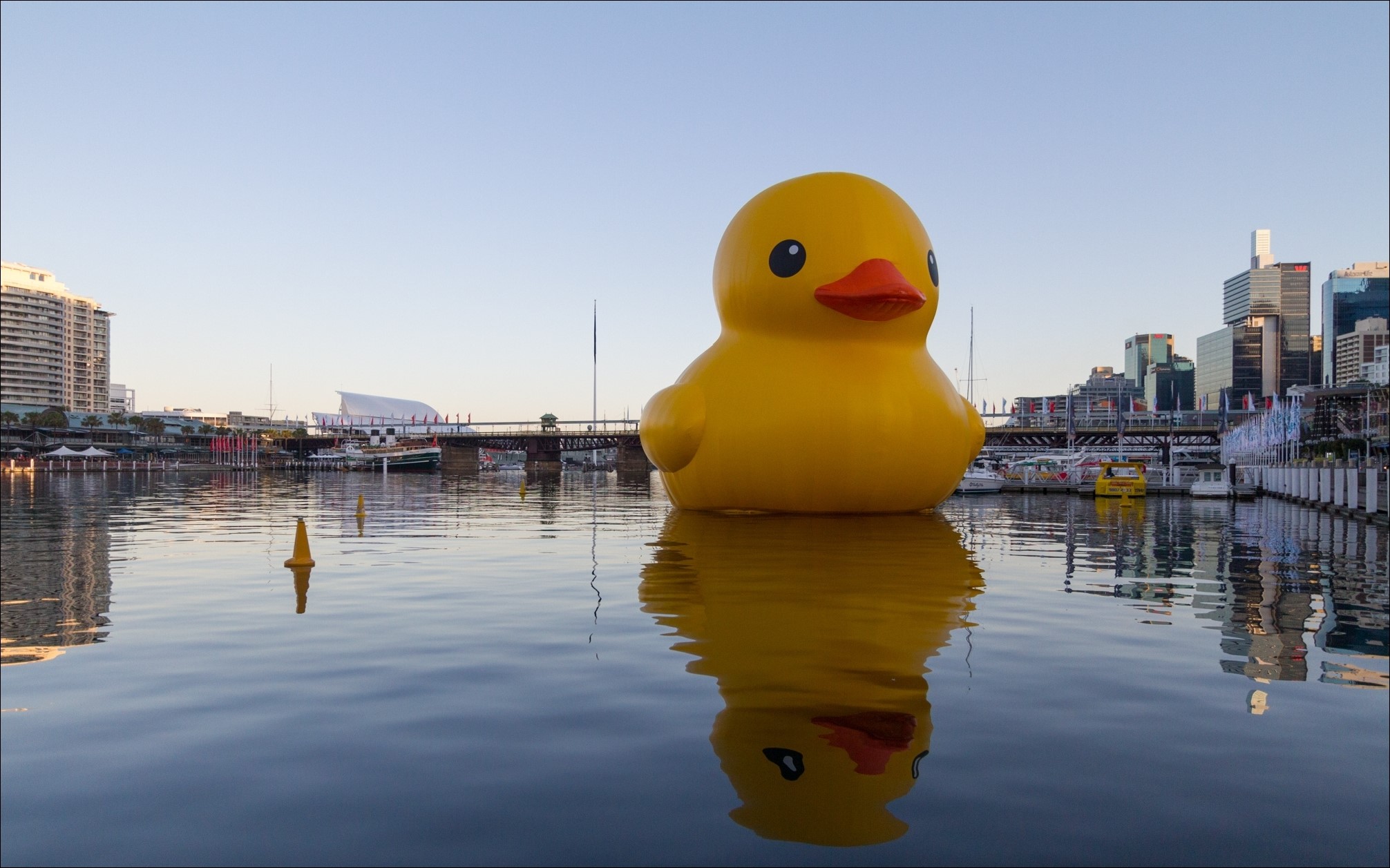 Giant rubber duck in Darling Harbour, Sydney, Australia HD Wallpaper