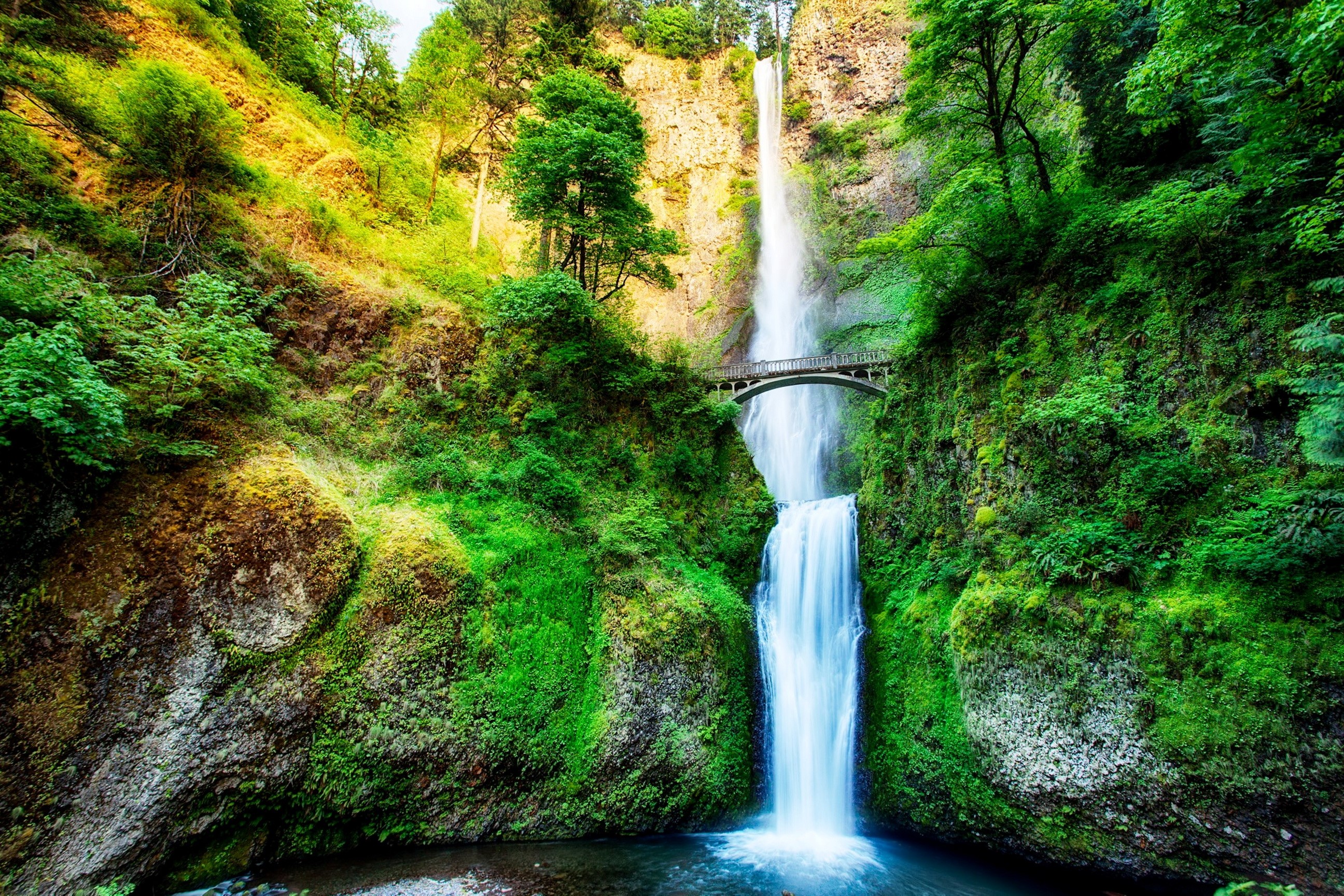 Multnomah Falls Oregon USA with Bridge HD Wallpaper
