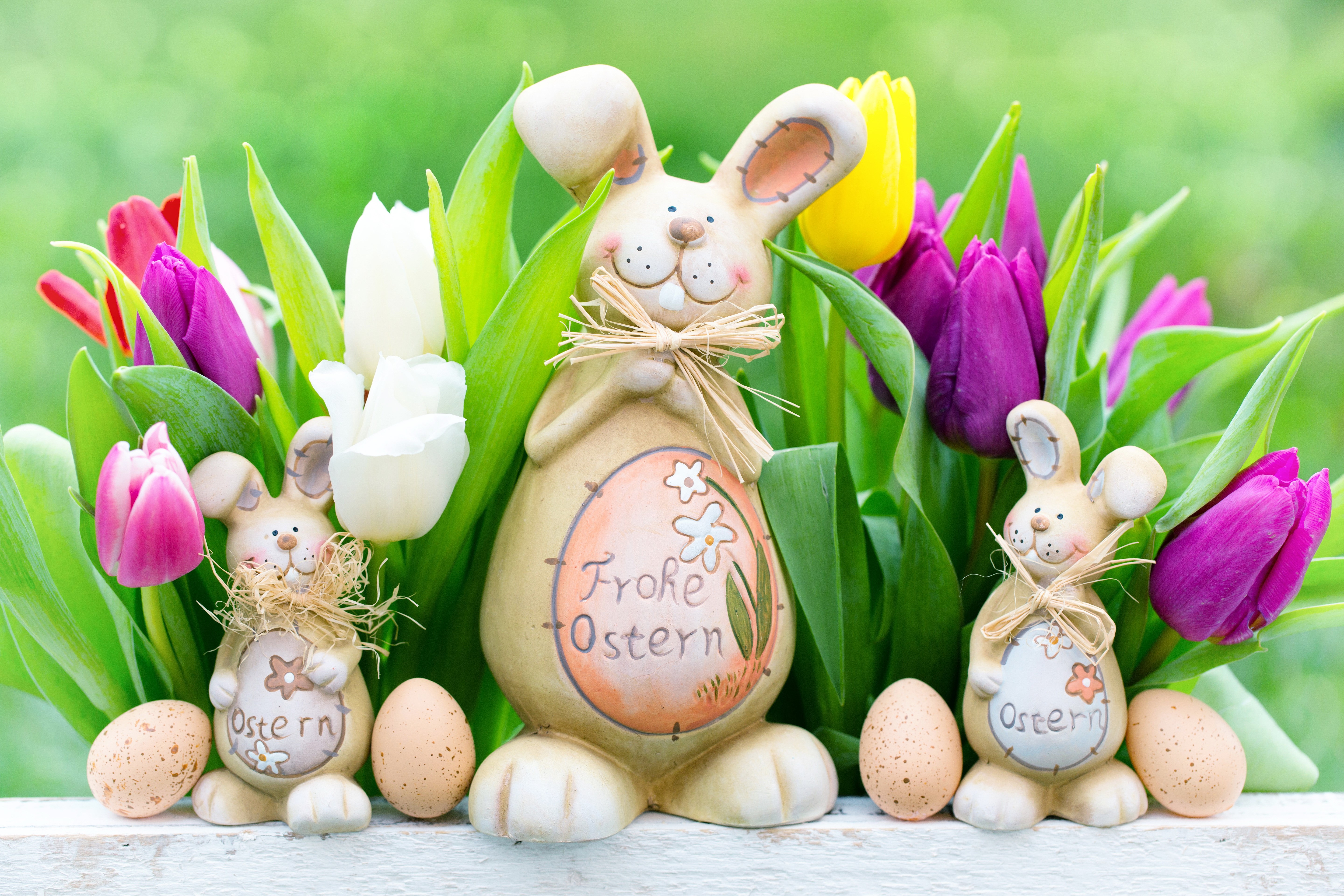 Easter bunnies and tulips with eggs HD Wallpaper