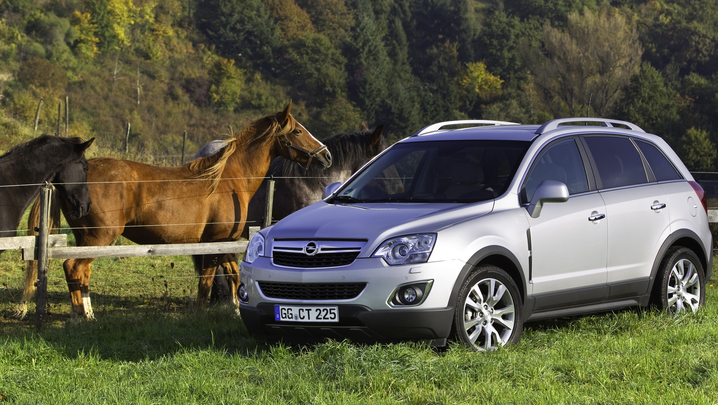 Silver Opel Antara parked near horses in a field HD Wallpaper