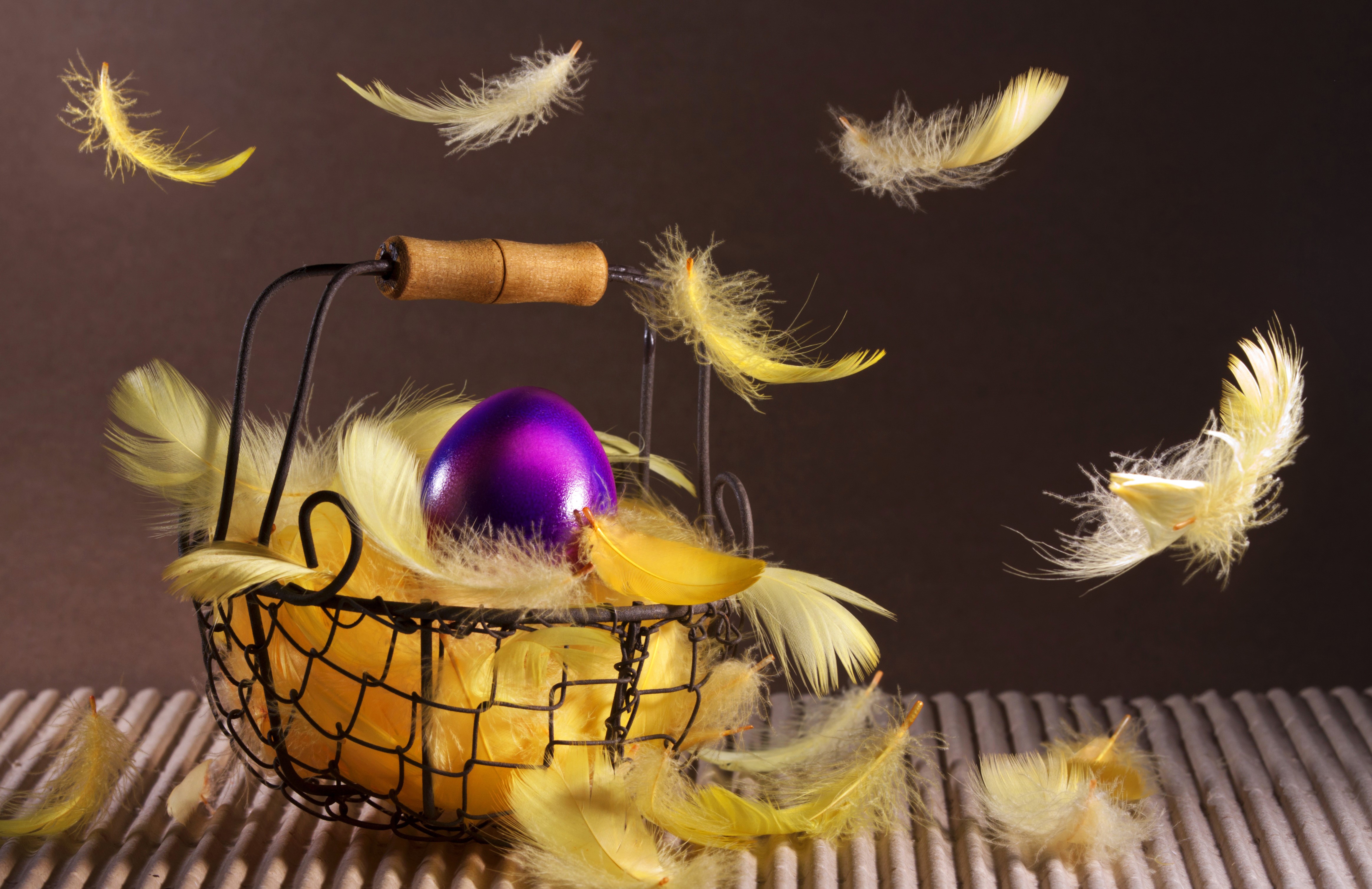 Easter basket with purple egg and yellow feathers HD Wallpaper