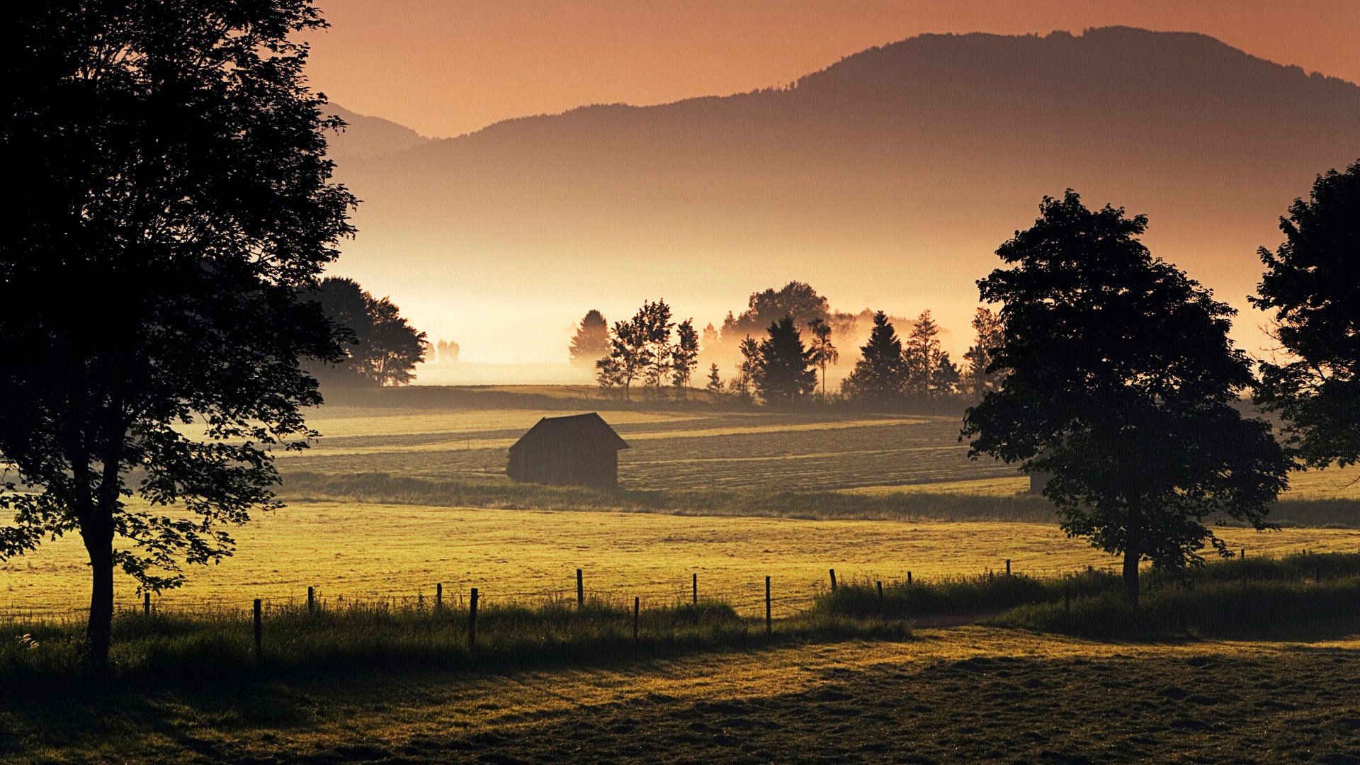 Misty morning landscape with a barn and trees HD Wallpaper