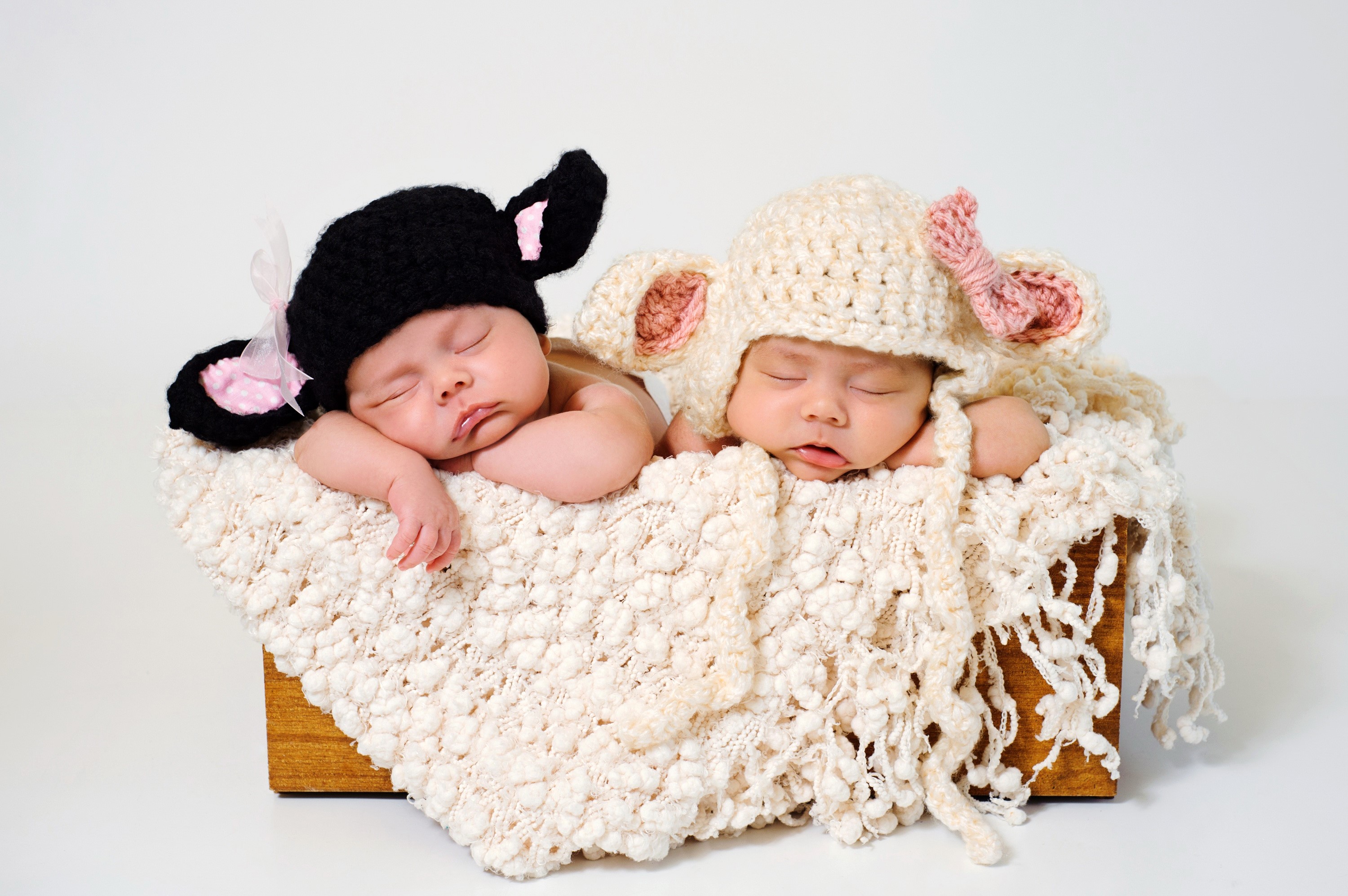Two Newborn Babies Sleeping in Sheep Costumes HD Wallpaper