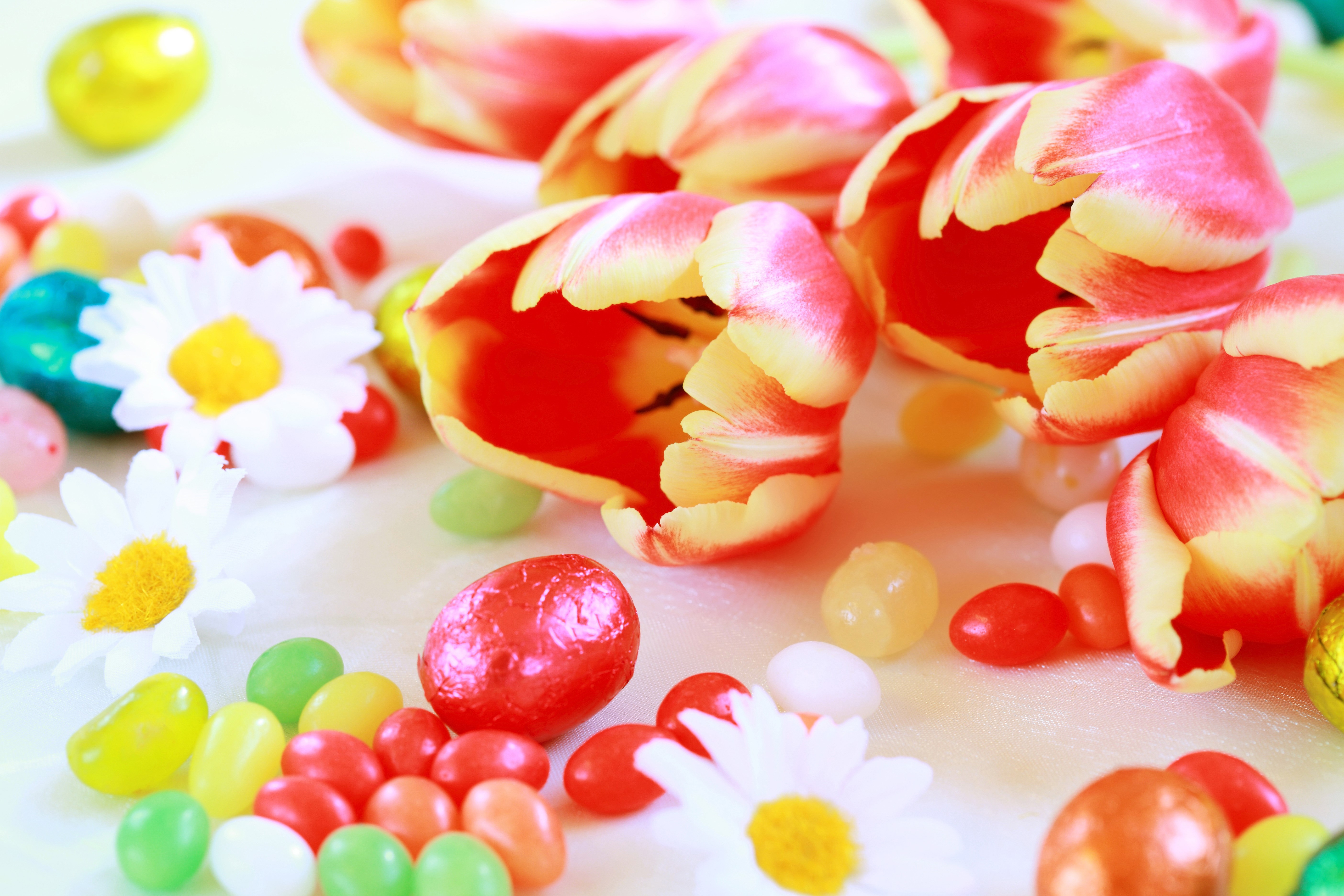 Easter Tulips and Eggs HD Wallpaper