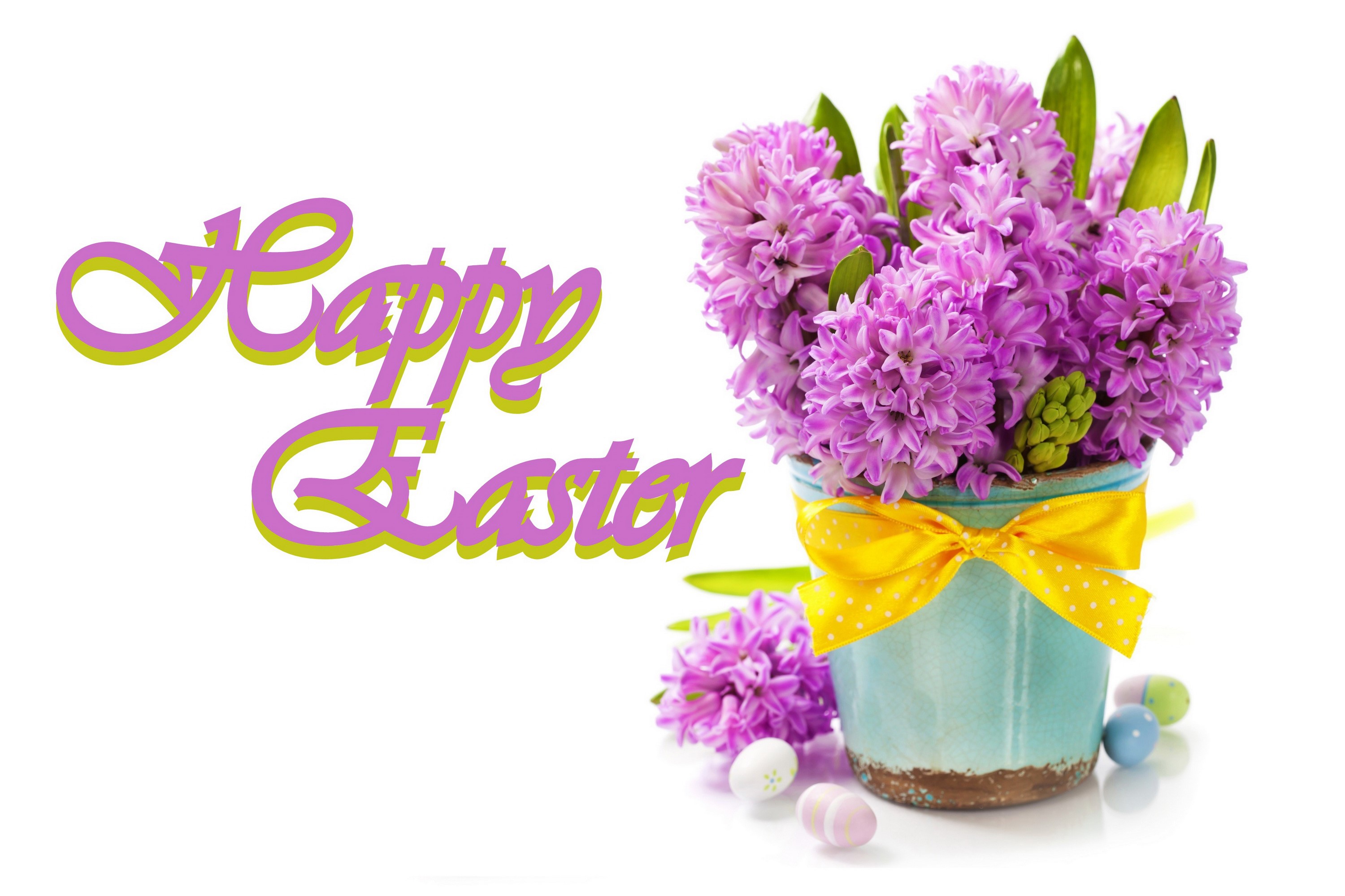 Happy Easter hyacinths in a pot with eggs HD Wallpaper