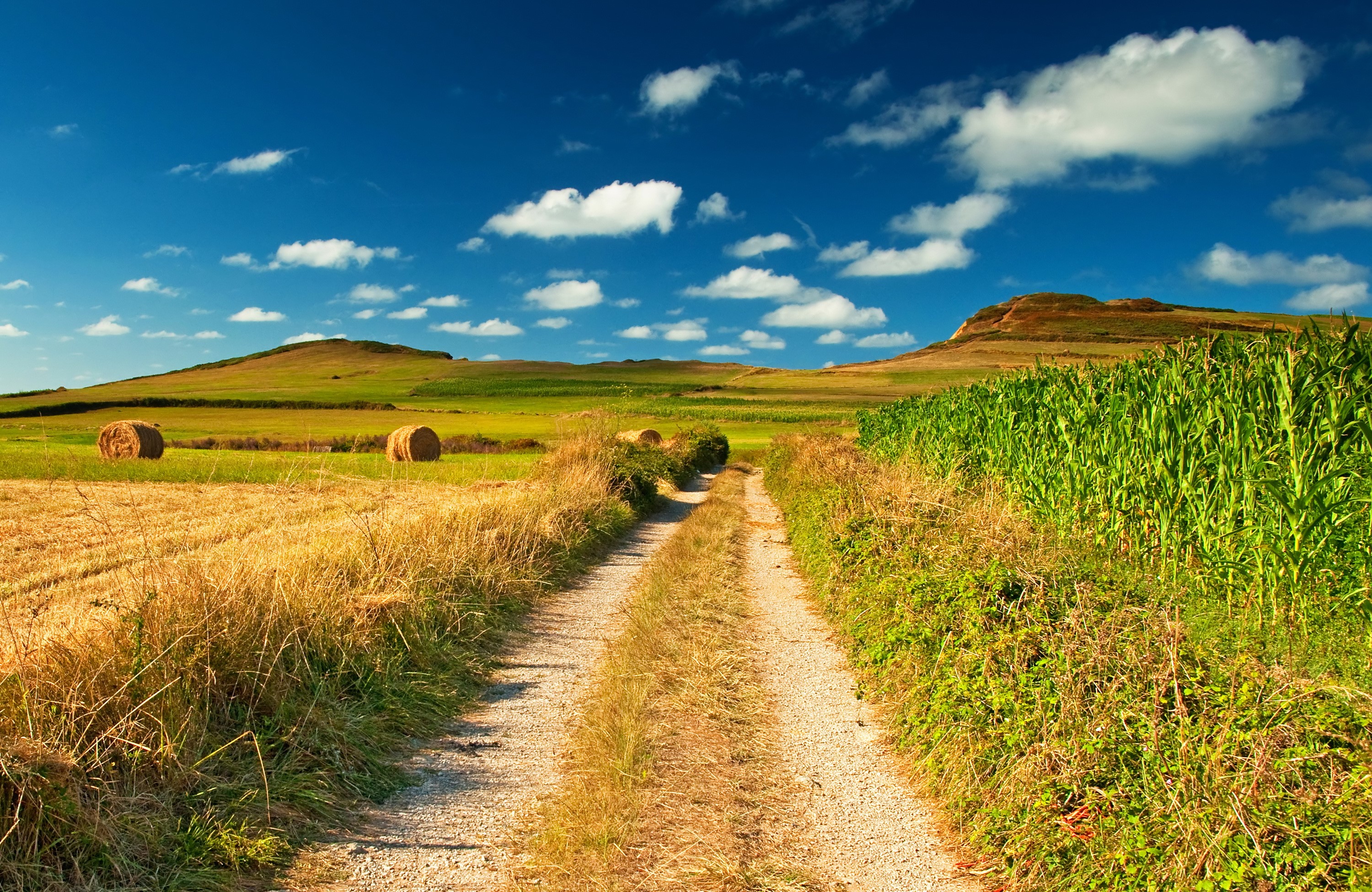 Rural landscape with dirt road and hay bales HD Wallpaper