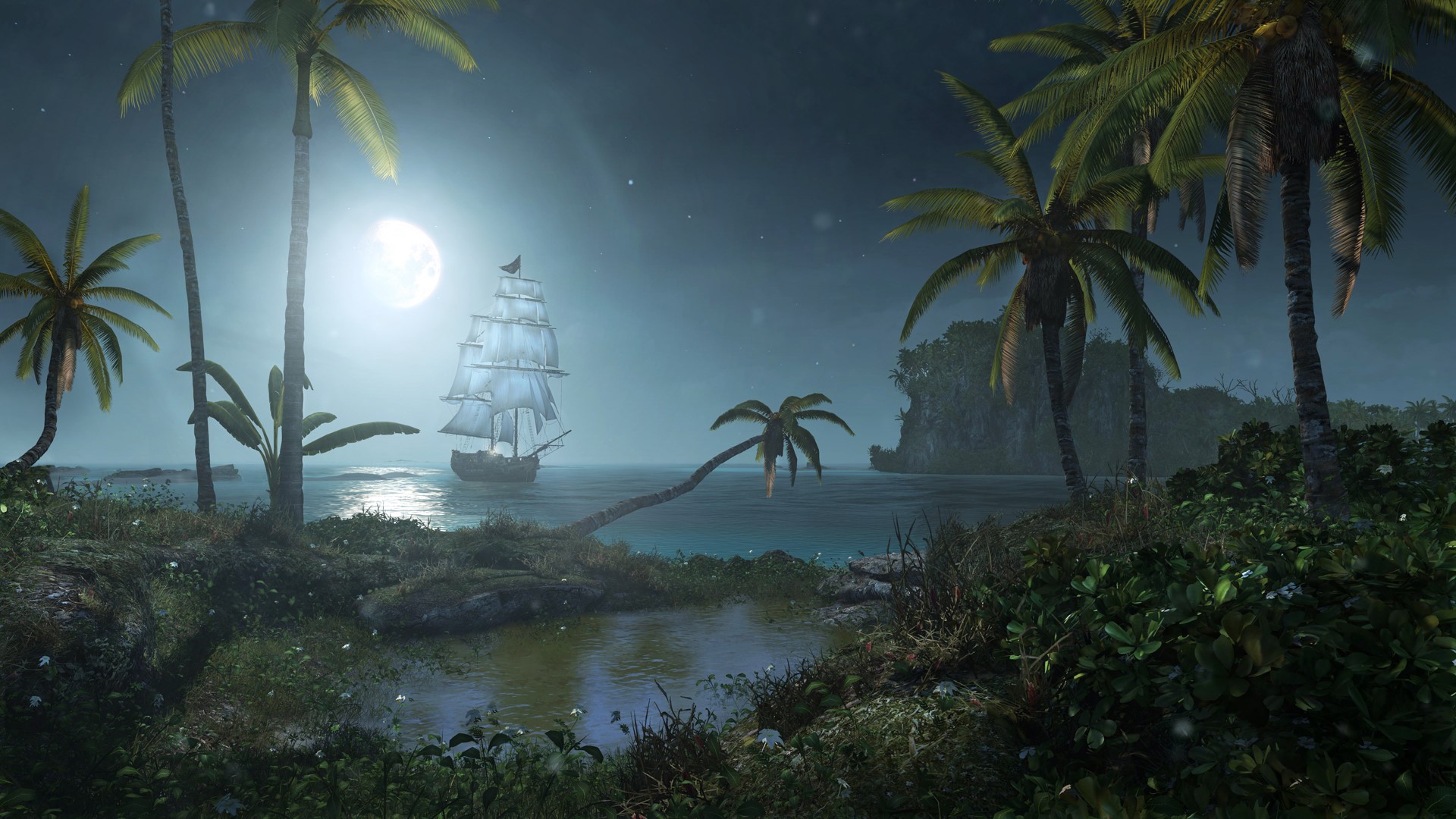 Assassin's Creed 4 Black Flag: Ship sailing at night HD Wallpaper