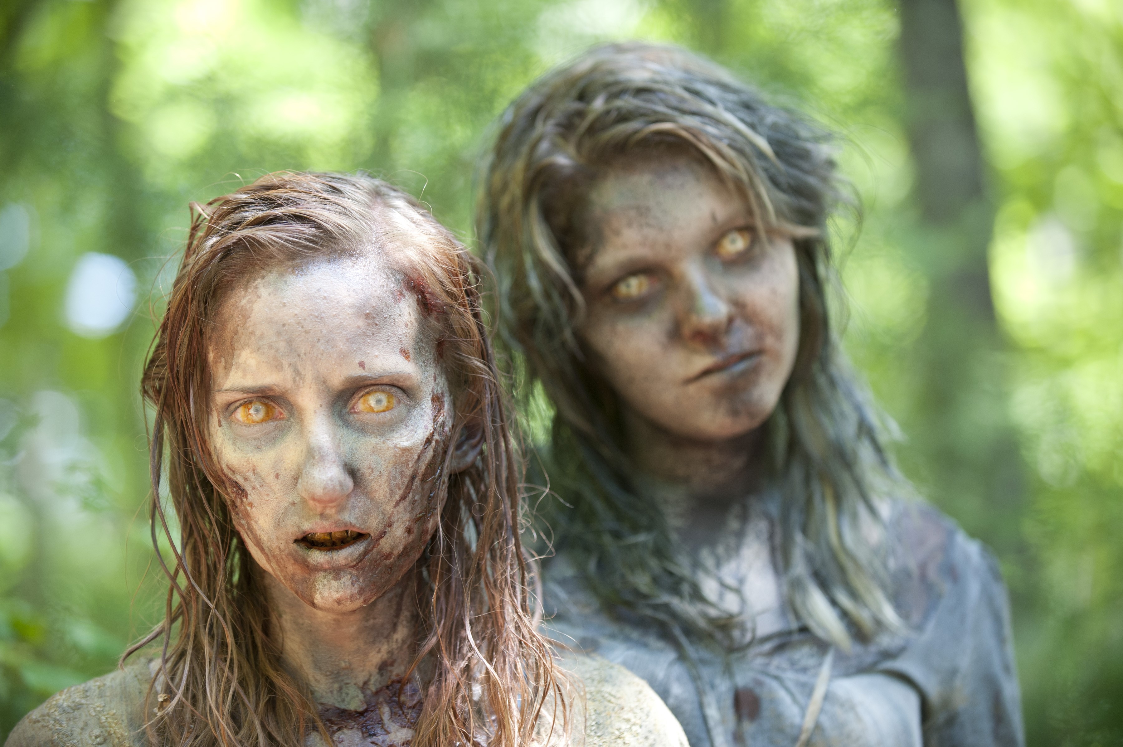 Two zombies from The Walking Dead TV series HD Wallpaper