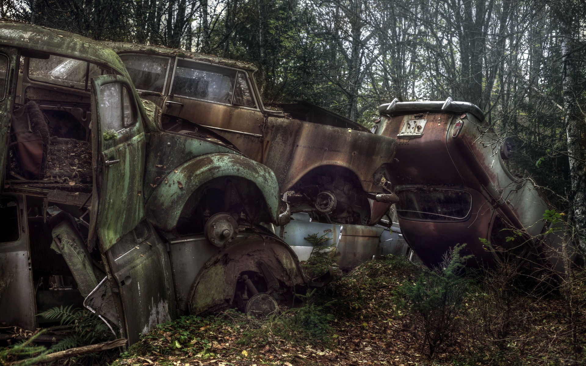 Abandoned vintage cars in a forest HD Wallpaper