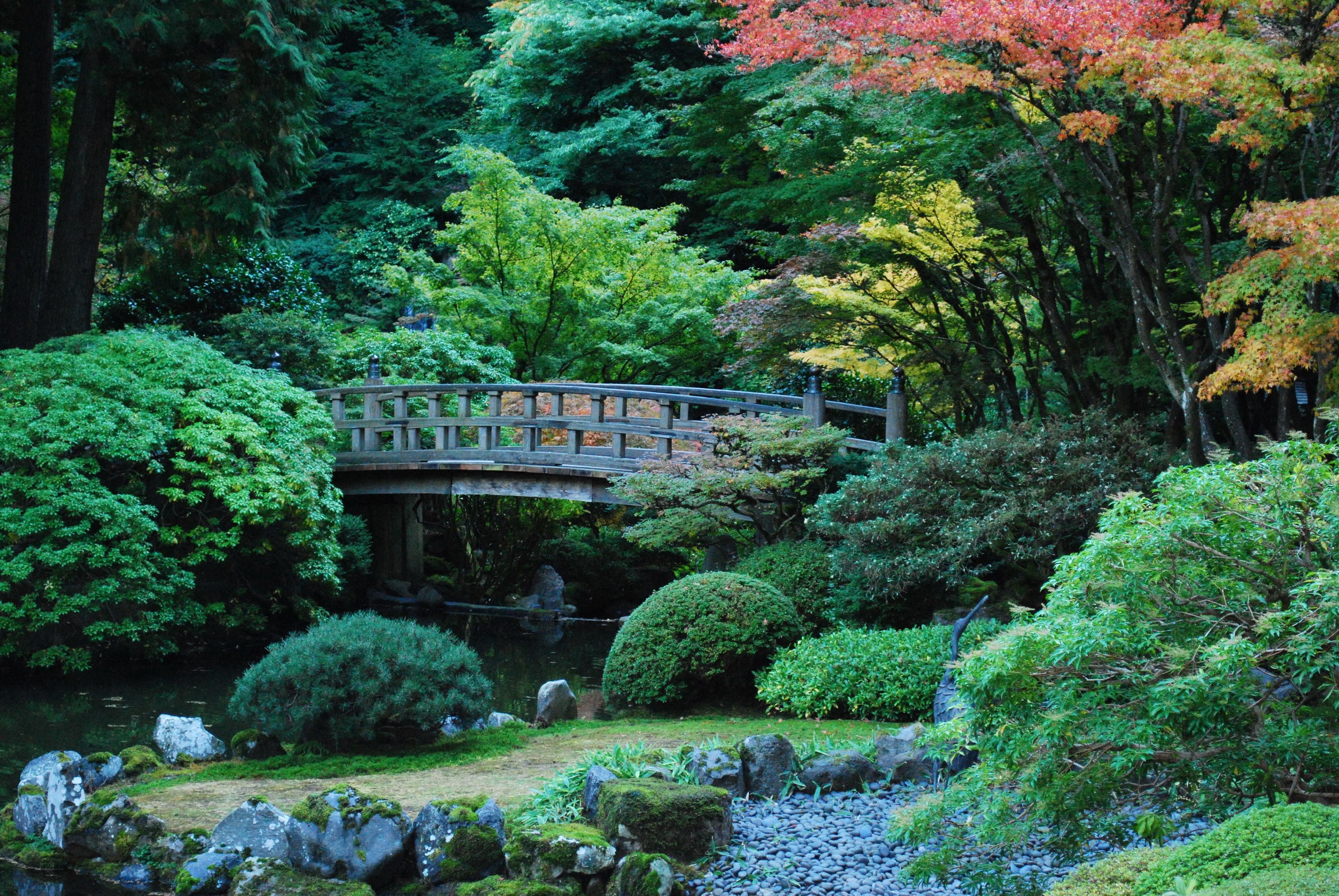 Japanese Garden with Wooden Bridge and Pond in Portland, USA HD Wallpaper