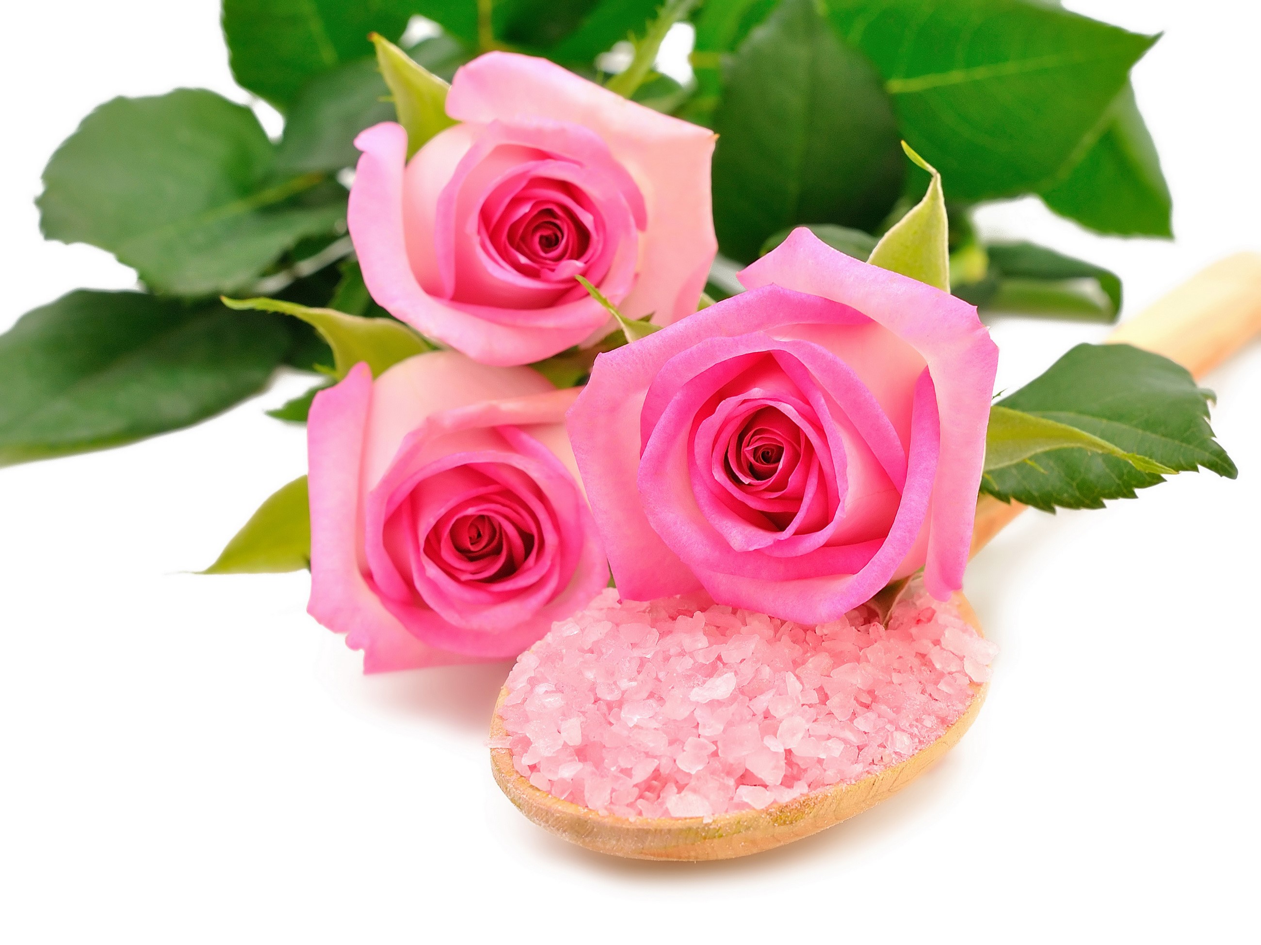Three pink roses with bath salts on a wooden spoon HD Wallpaper