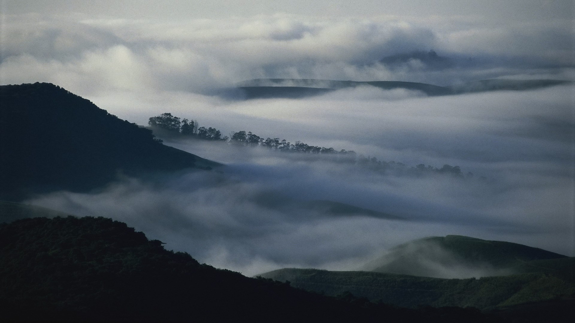 Misty hills and rolling fog at dawn HD Wallpaper