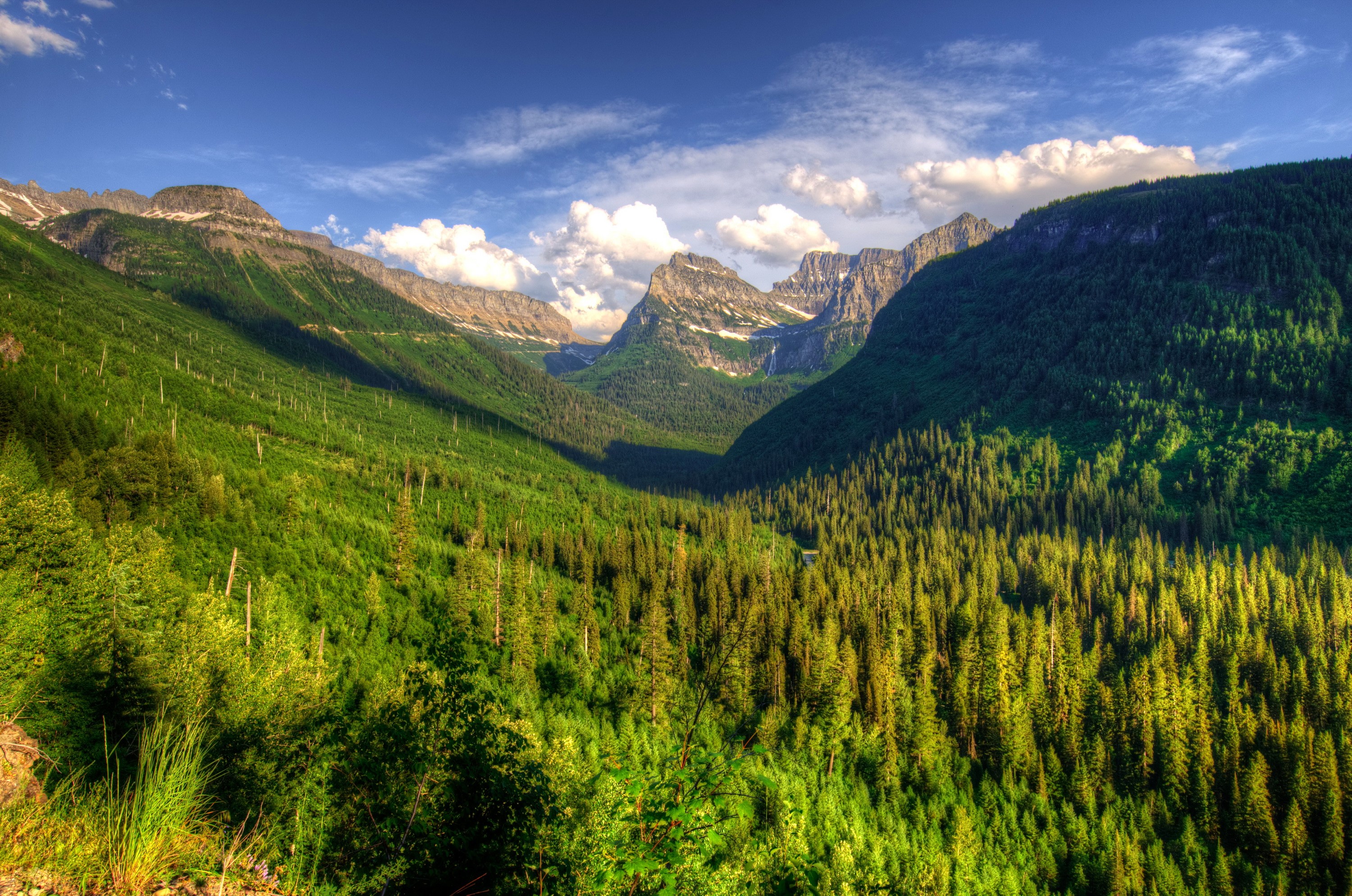 Mountains and Forest in Glacier National Park, Montana, USA HD Wallpaper