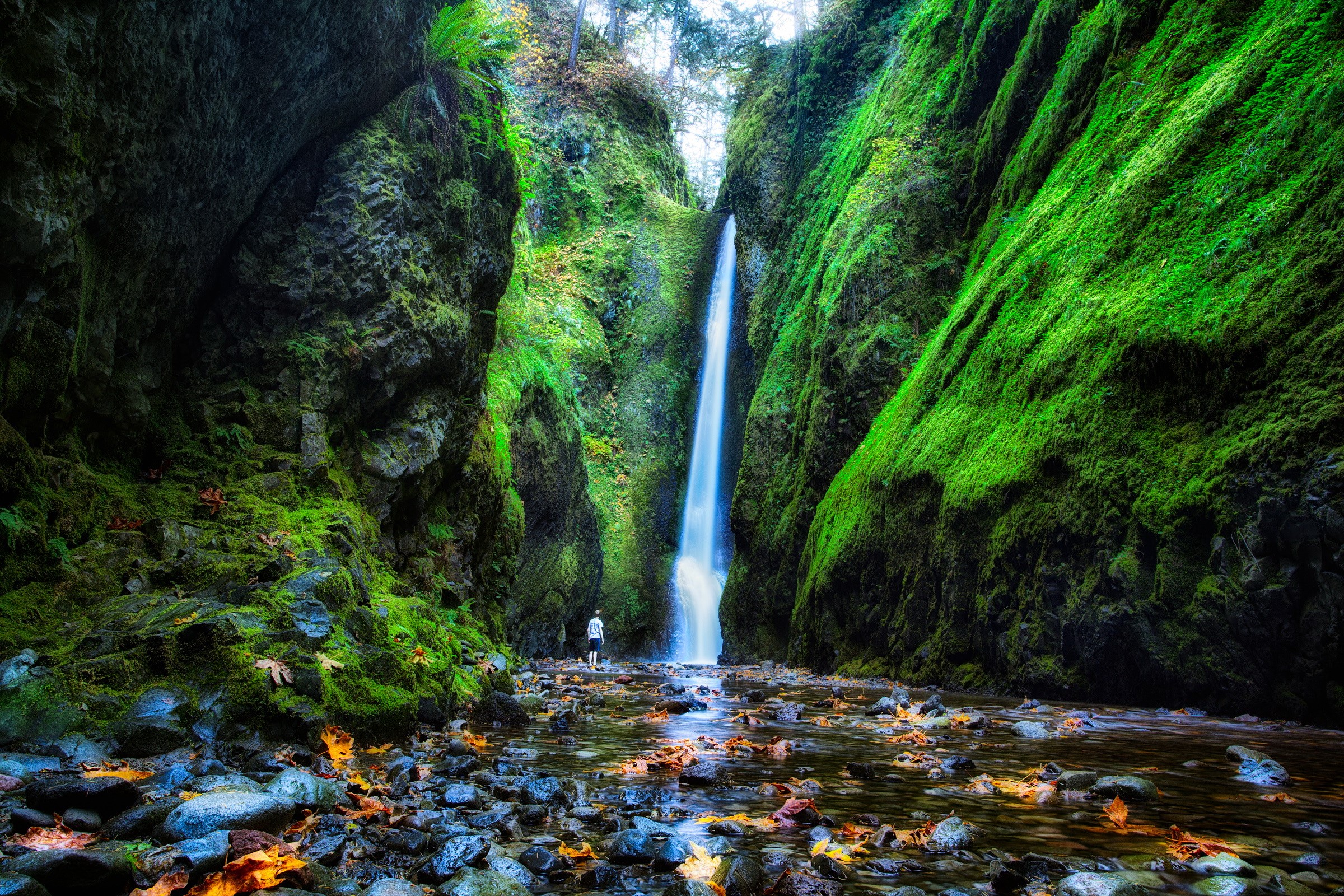 Oneonta Falls Oregon USA Waterfall Moss Crag HD Wallpaper