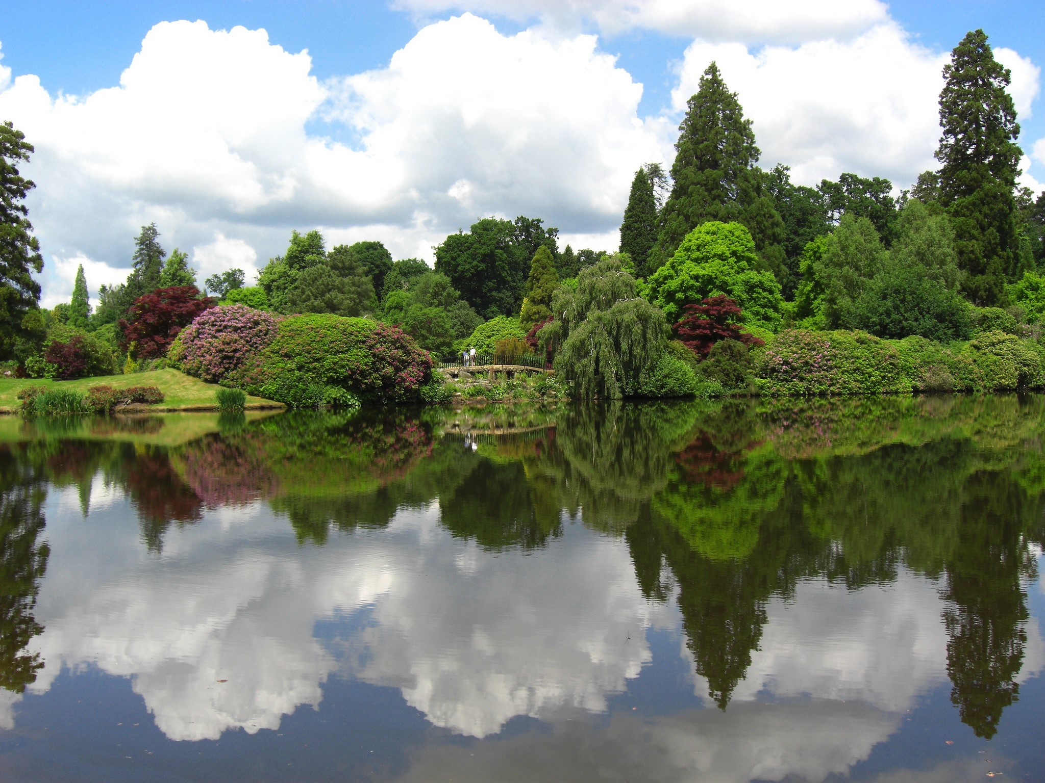 Lake and trees reflection in Sheffield, England HD Wallpaper