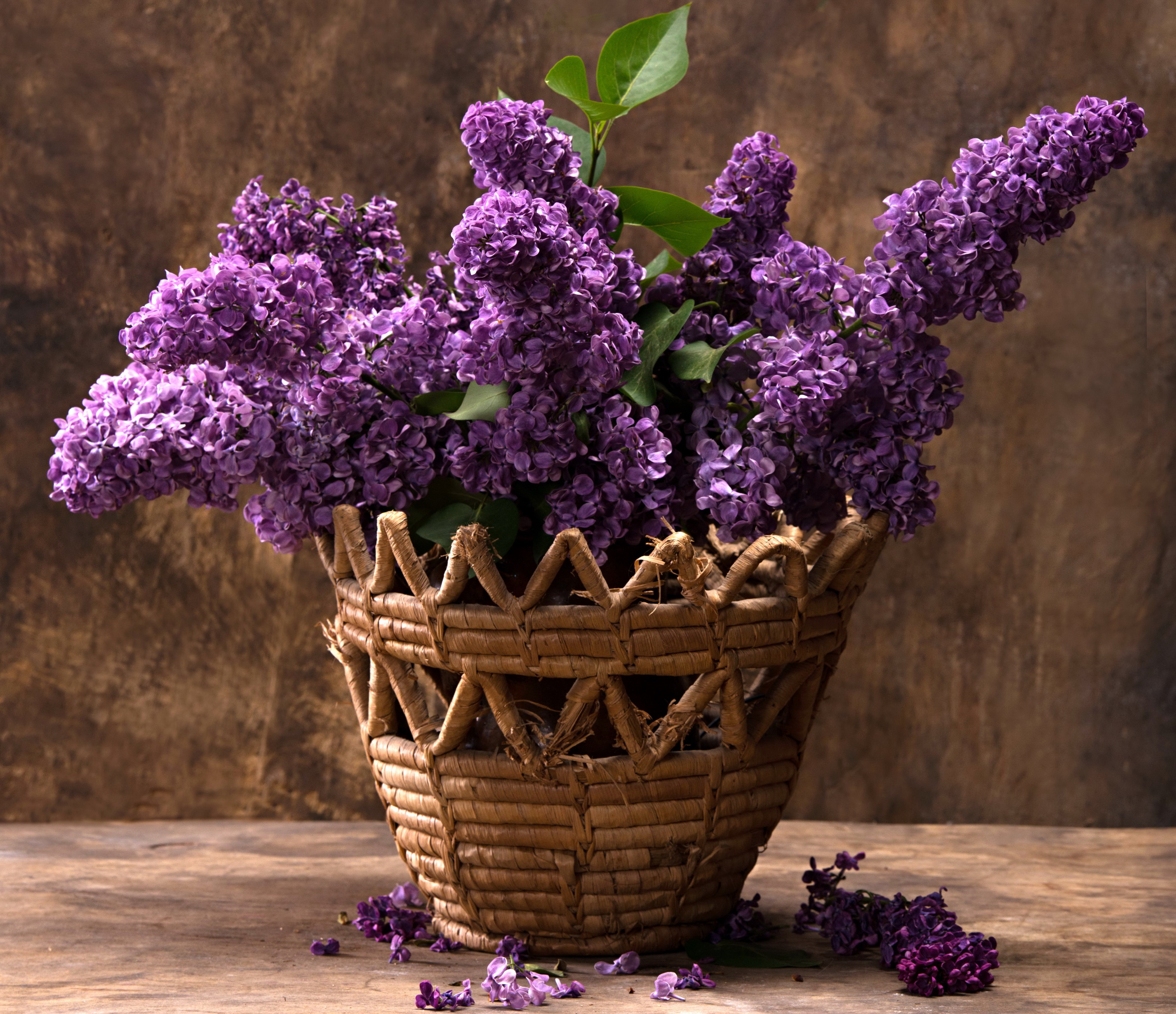 Lilac in a Wicker Basket HD Wallpaper