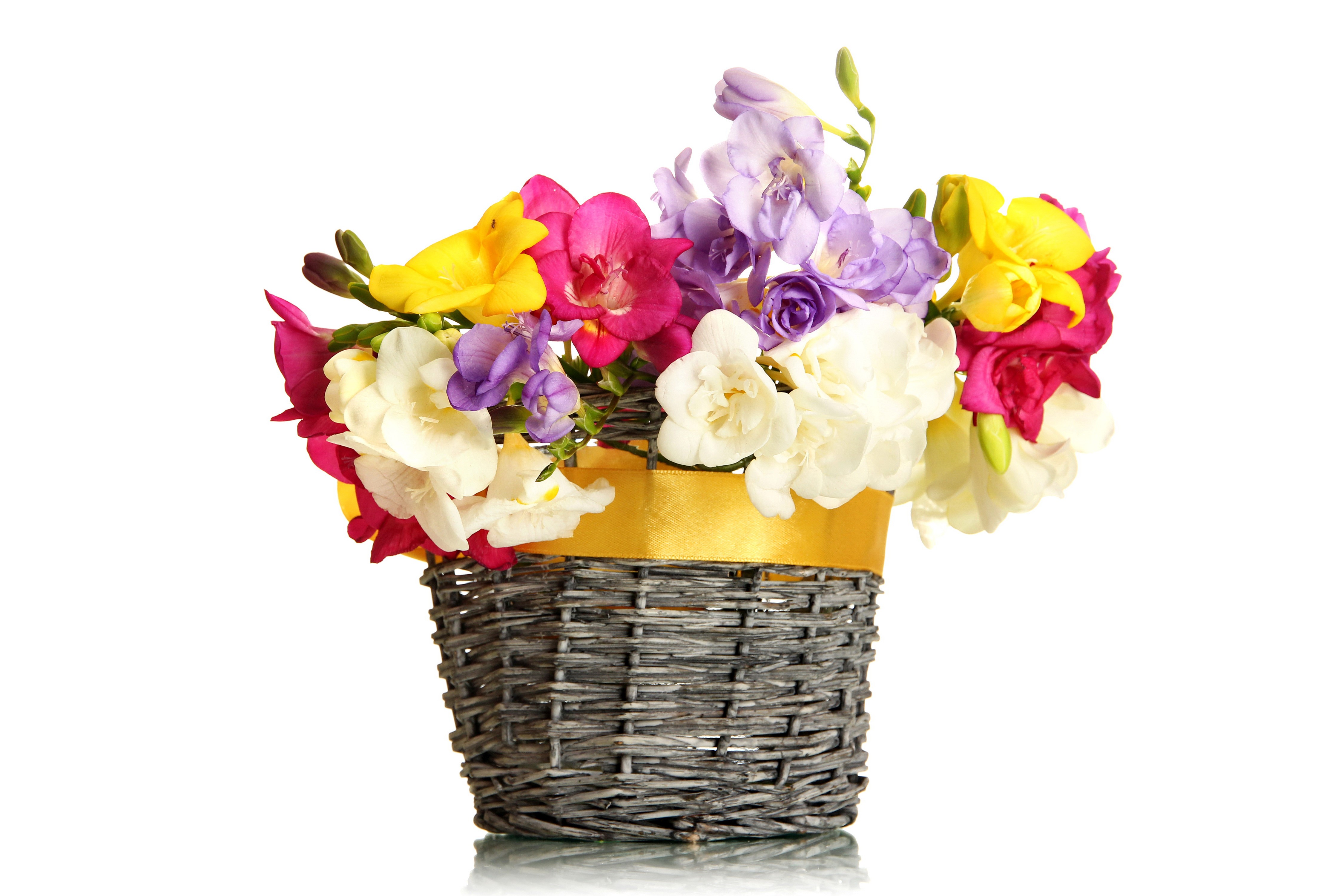Colorful Freesia Flowers in Wicker Basket HD Wallpaper