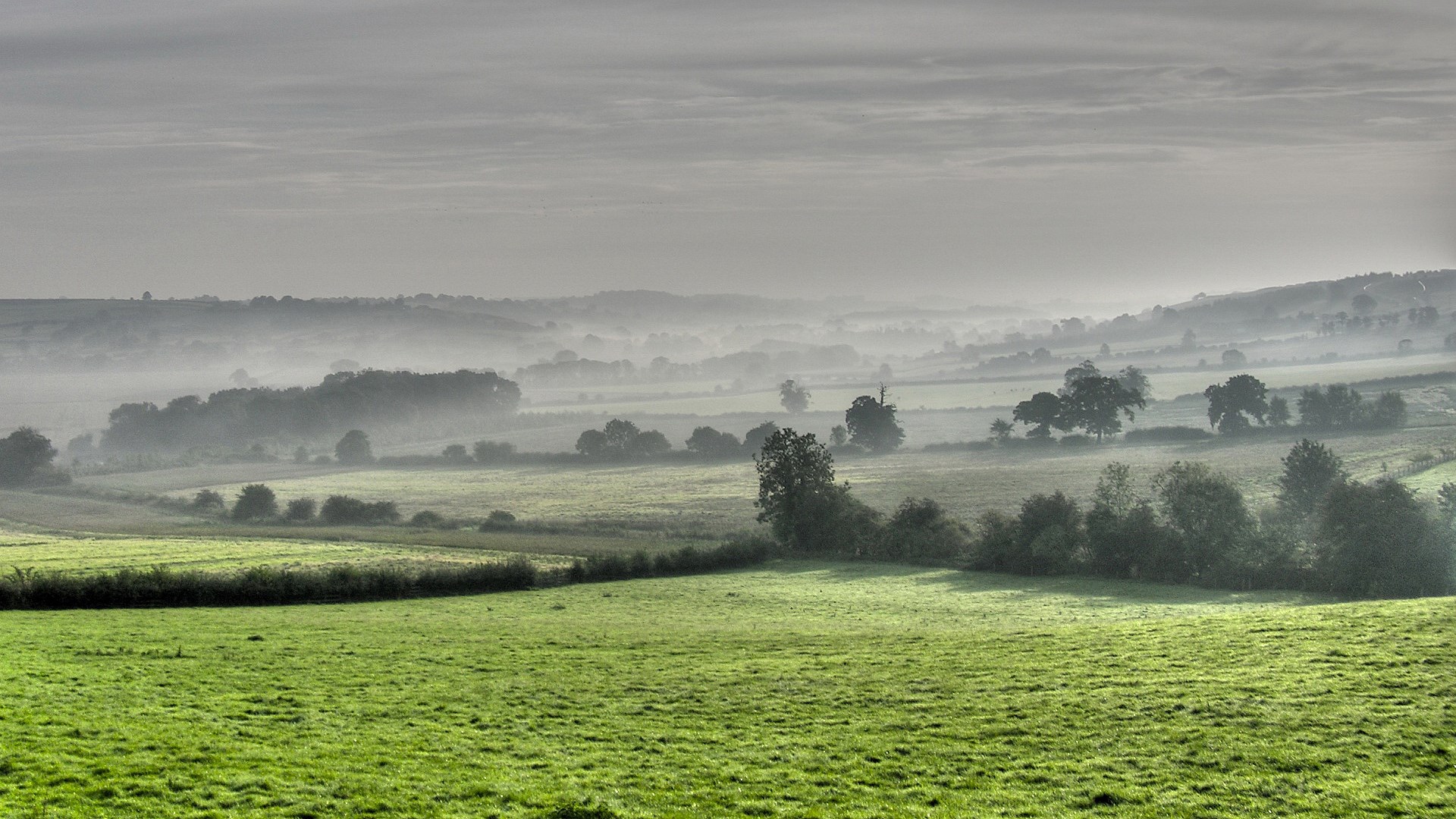 Misty rolling hills and green fields at dawn HD Wallpaper
