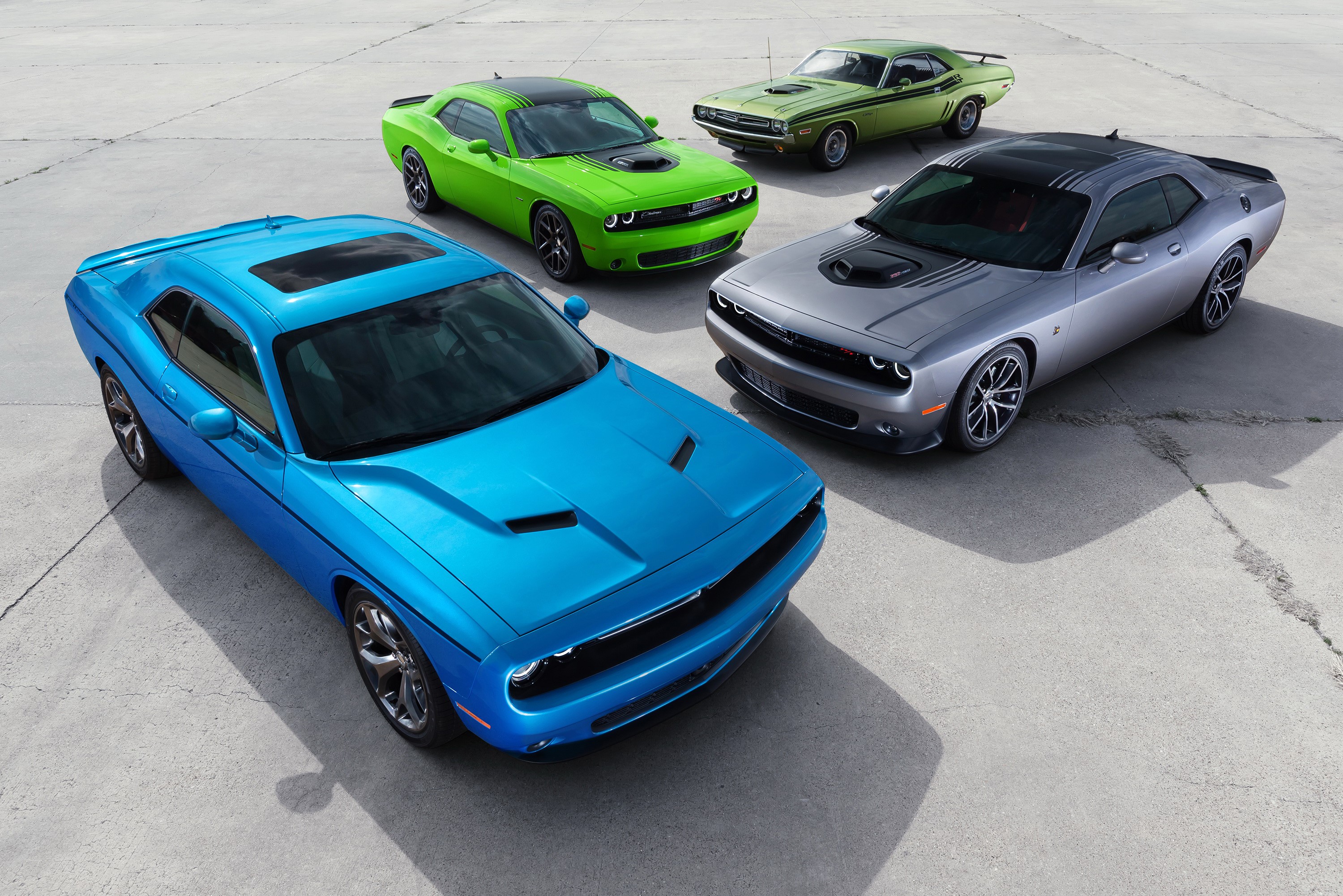 Dodge Challengers in various colors on concrete HD Wallpaper
