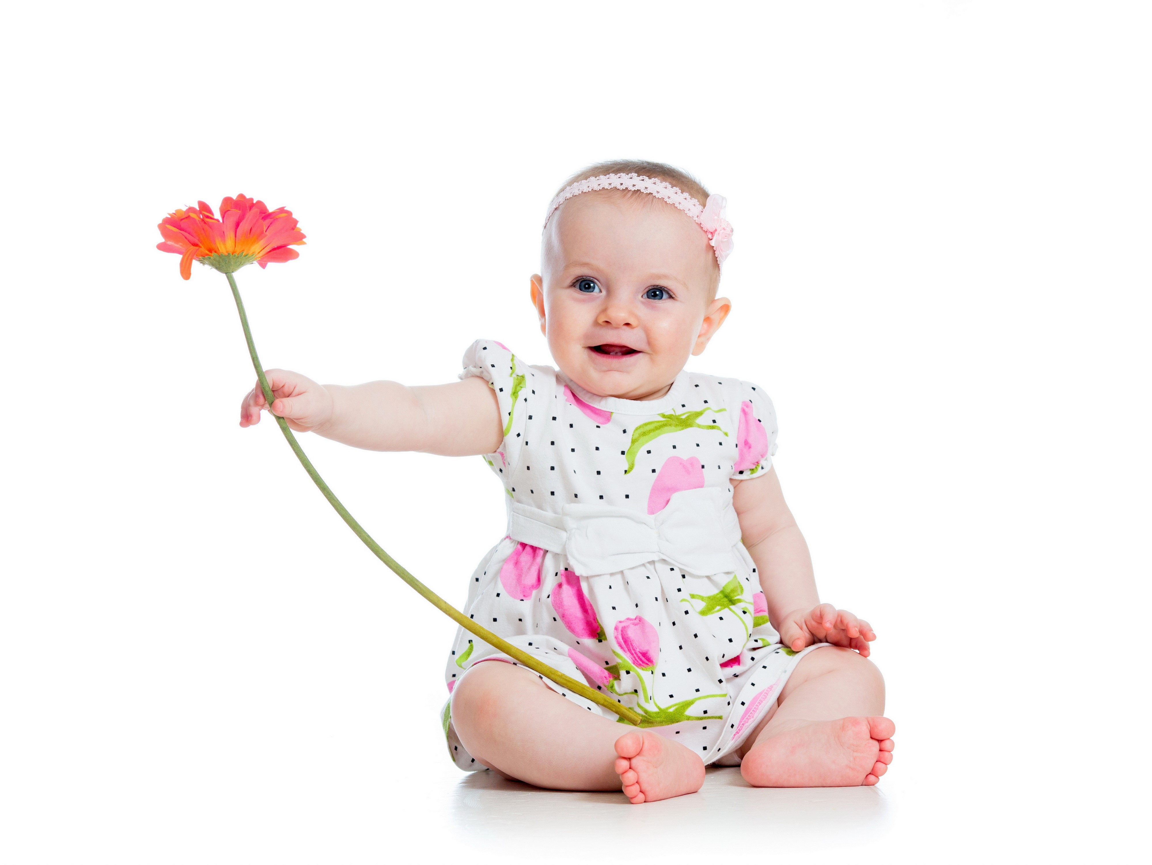 Baby girl with gerbera flower HD Wallpaper