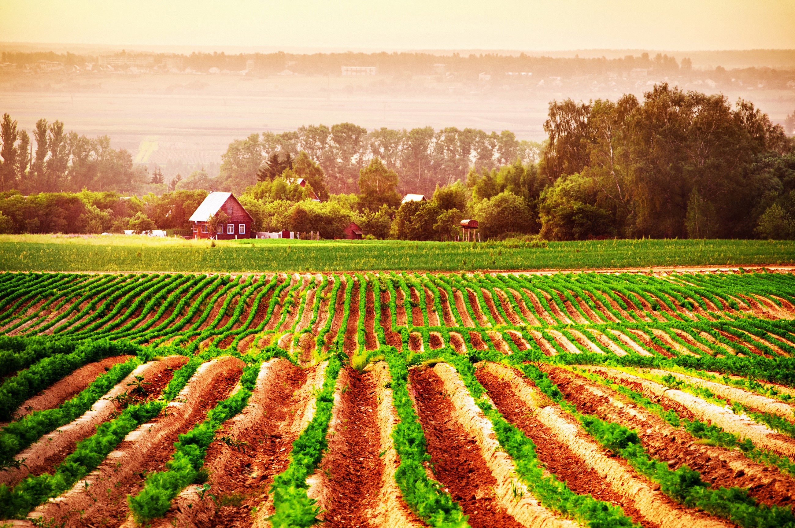Farm fields with a house in the background HD Wallpaper