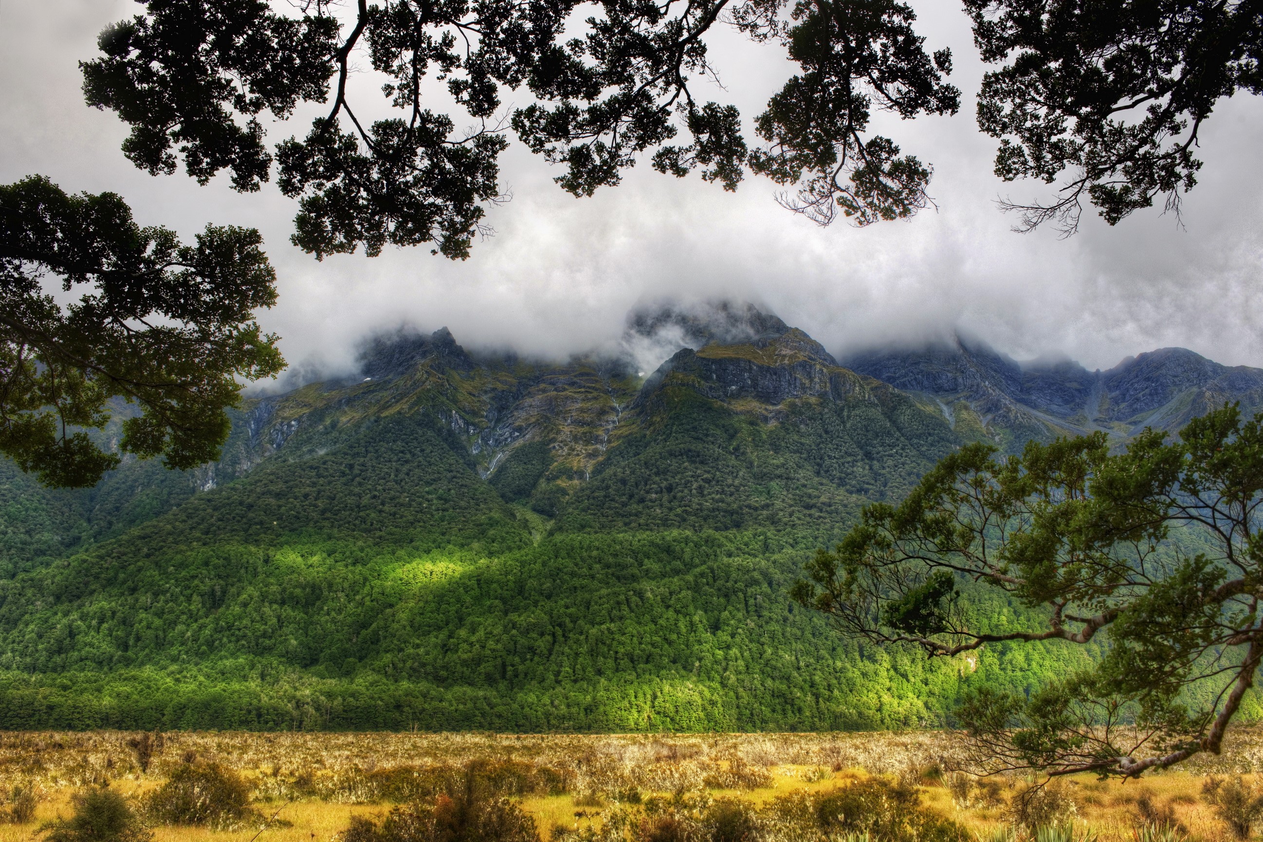 Mountains and forest in Southland, New Zealand HD Wallpaper