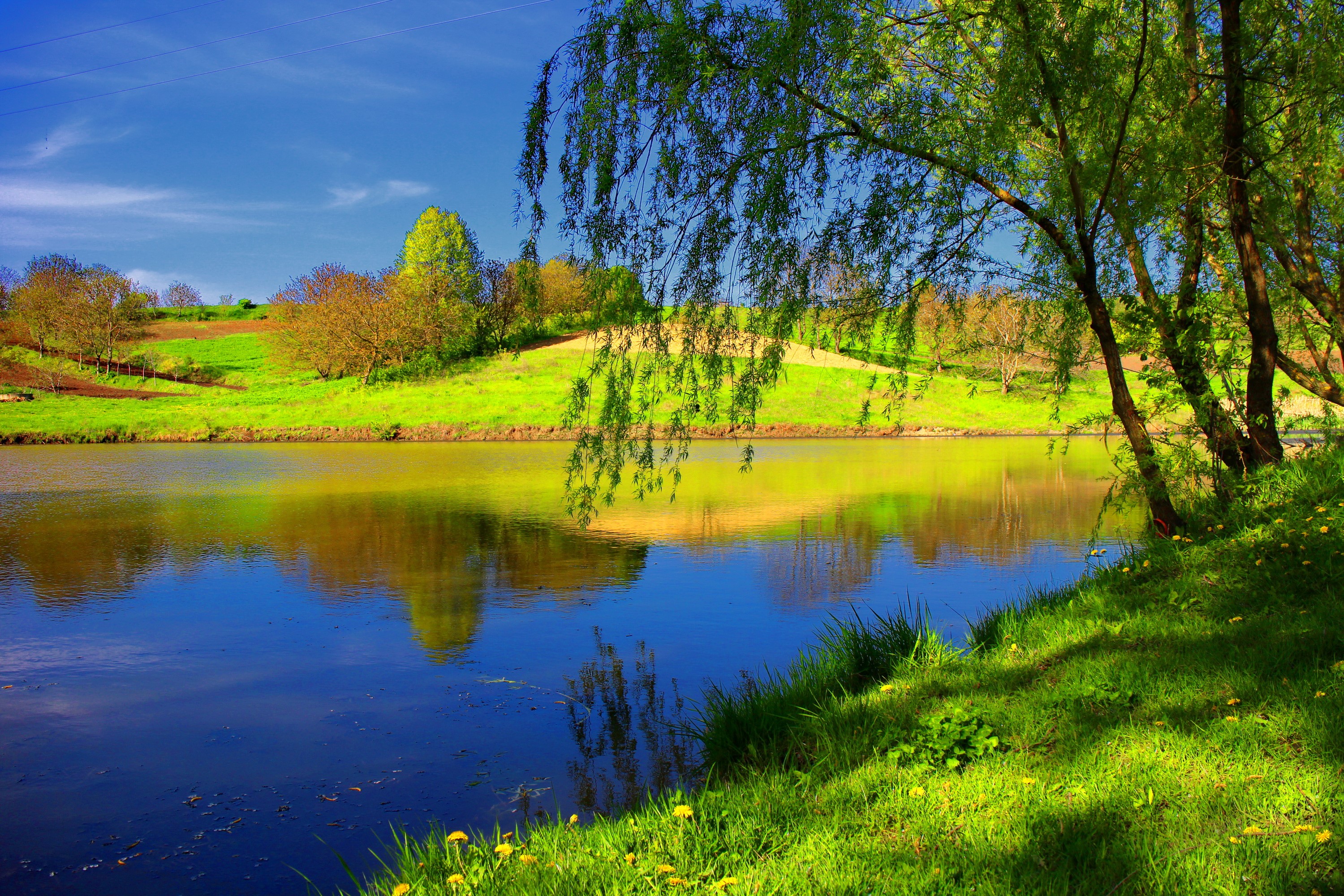 River and green hills with trees HD Wallpaper