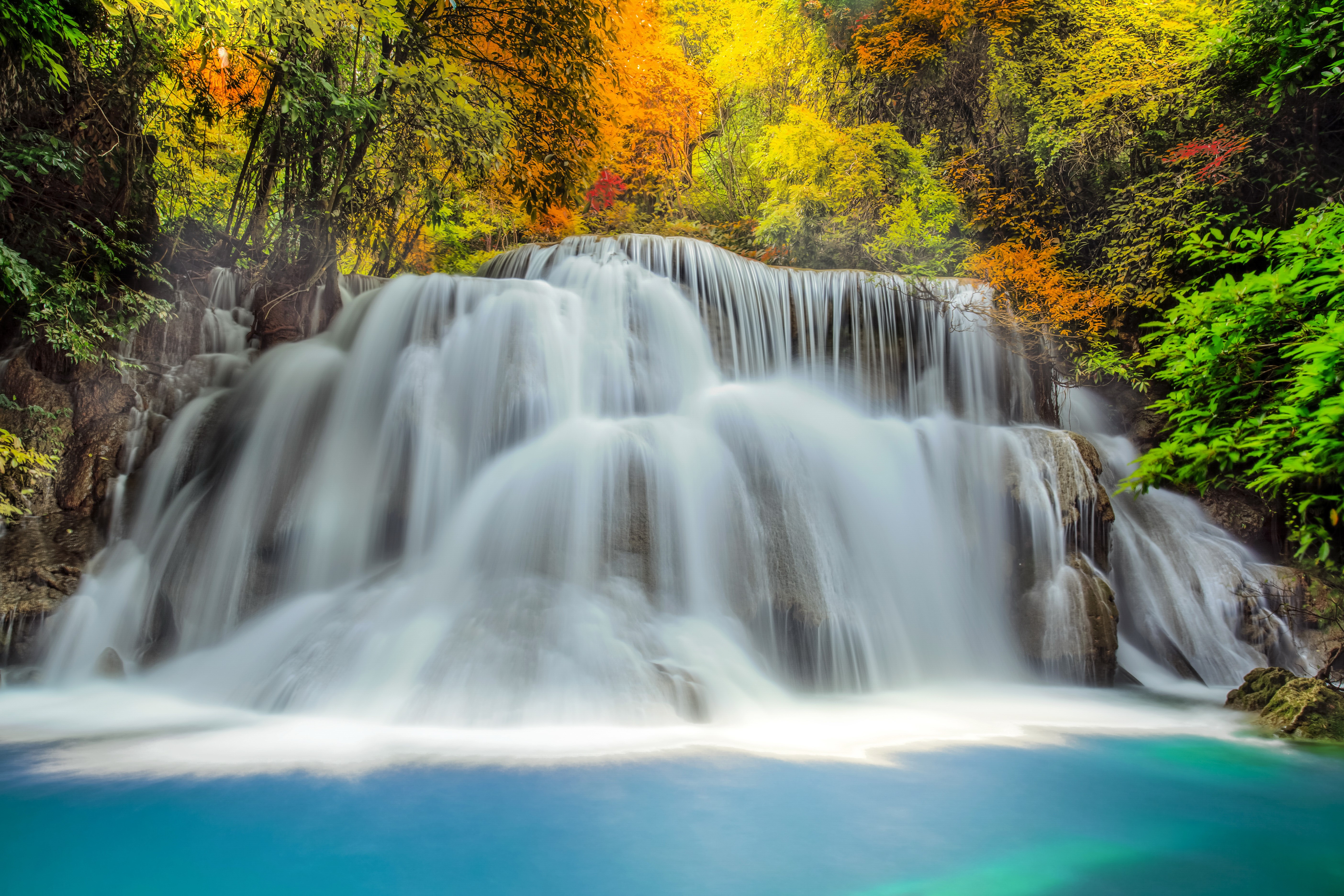 Waterfall in a colorful forest HD Wallpaper