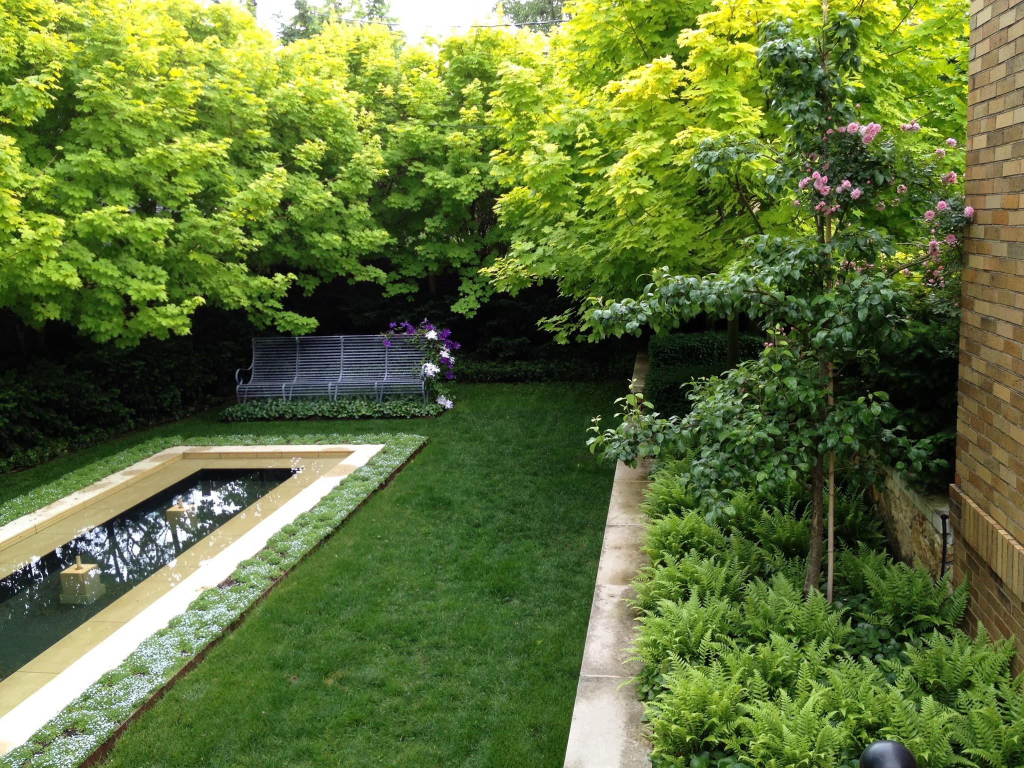 Garden with a rectangular pool and a metal bench HD Wallpaper