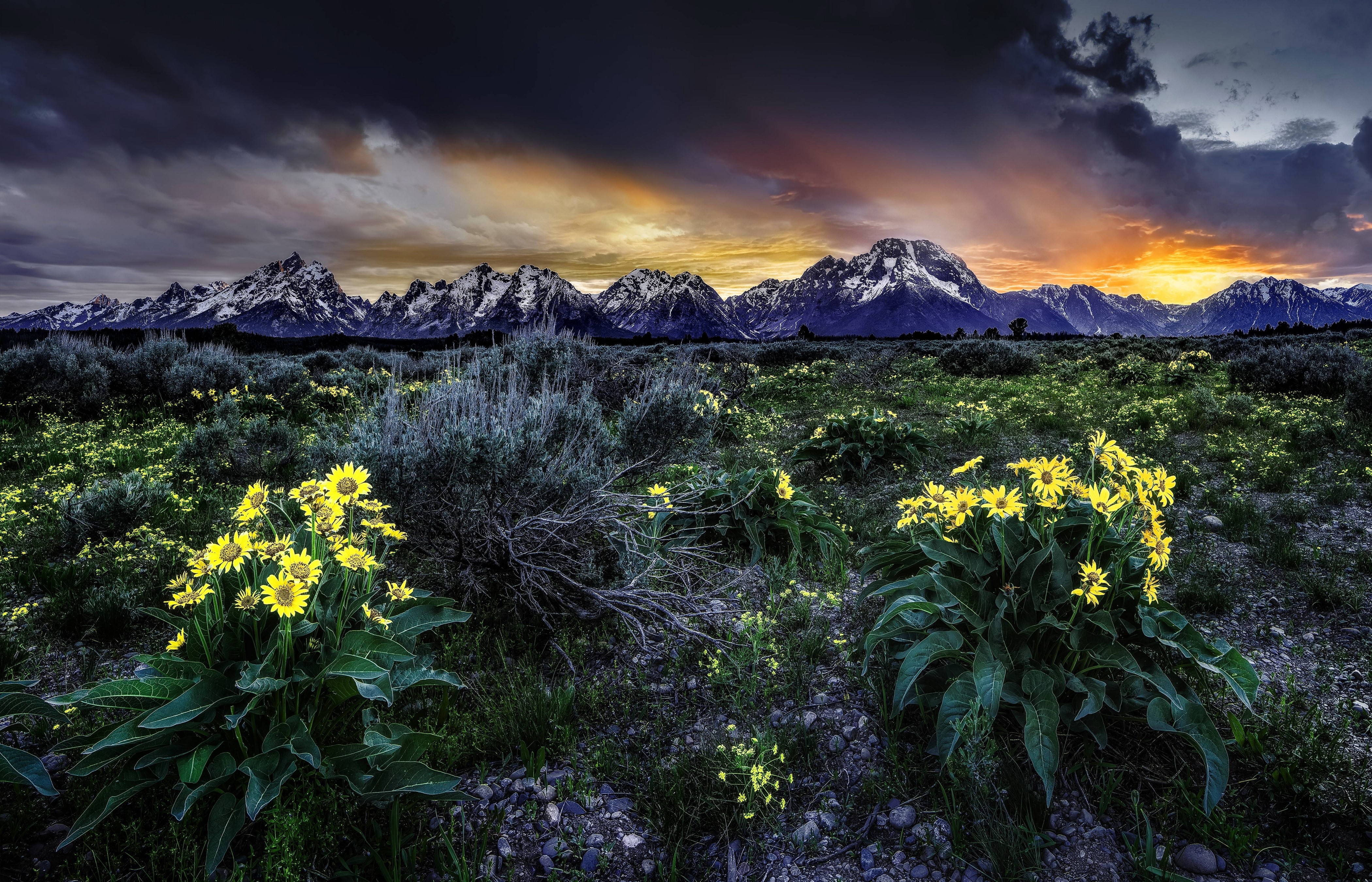 Grand Teton Mountains Wyoming USA Scenery HD Wallpaper