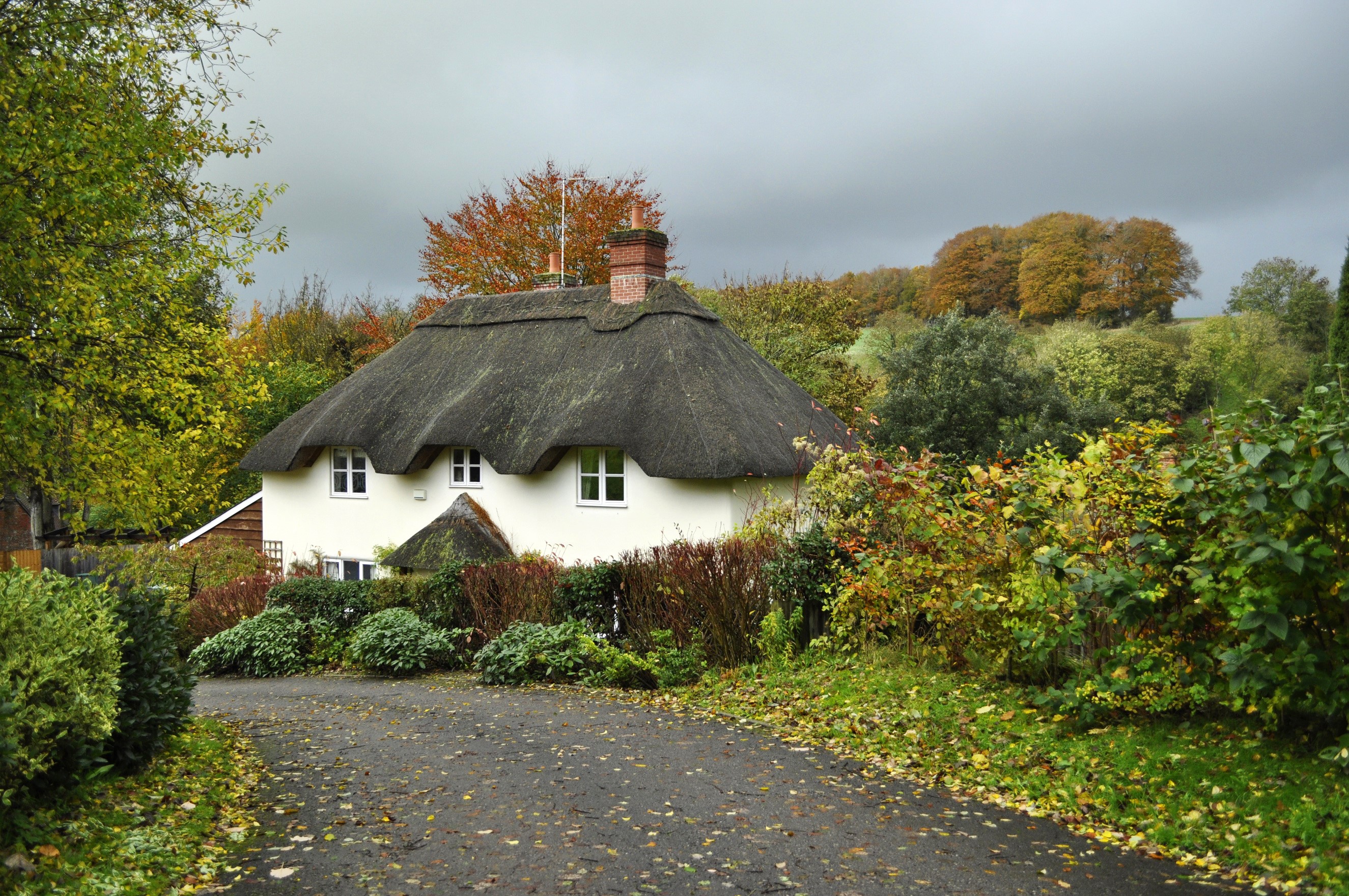 Thatched cottage in Tollard Royal, England during autumn HD Wallpaper