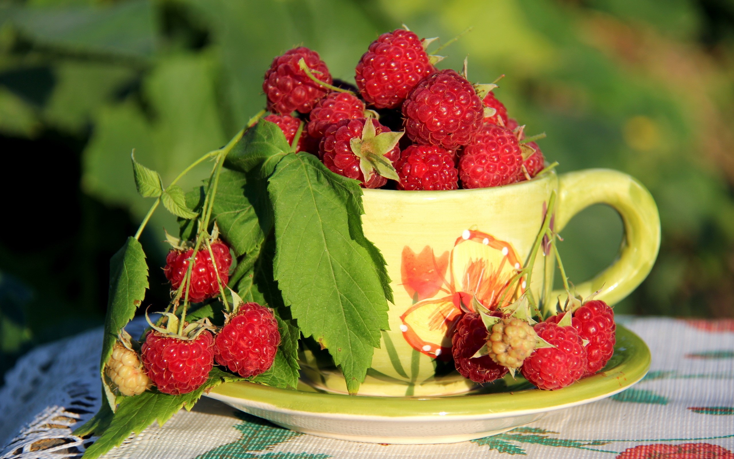 Raspberries in a decorated cup HD Wallpaper