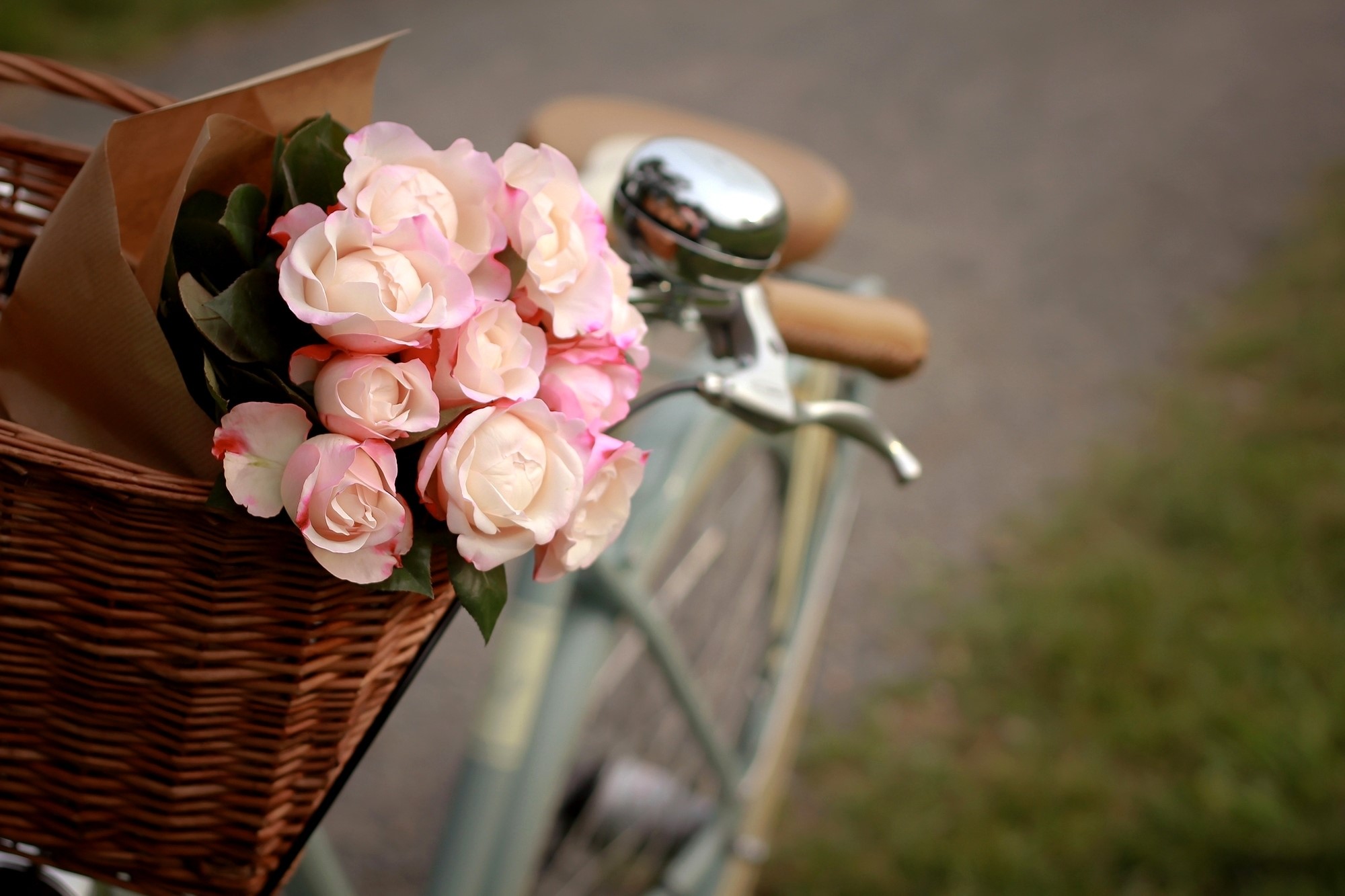 Pink roses in a bicycle basket HD Wallpaper
