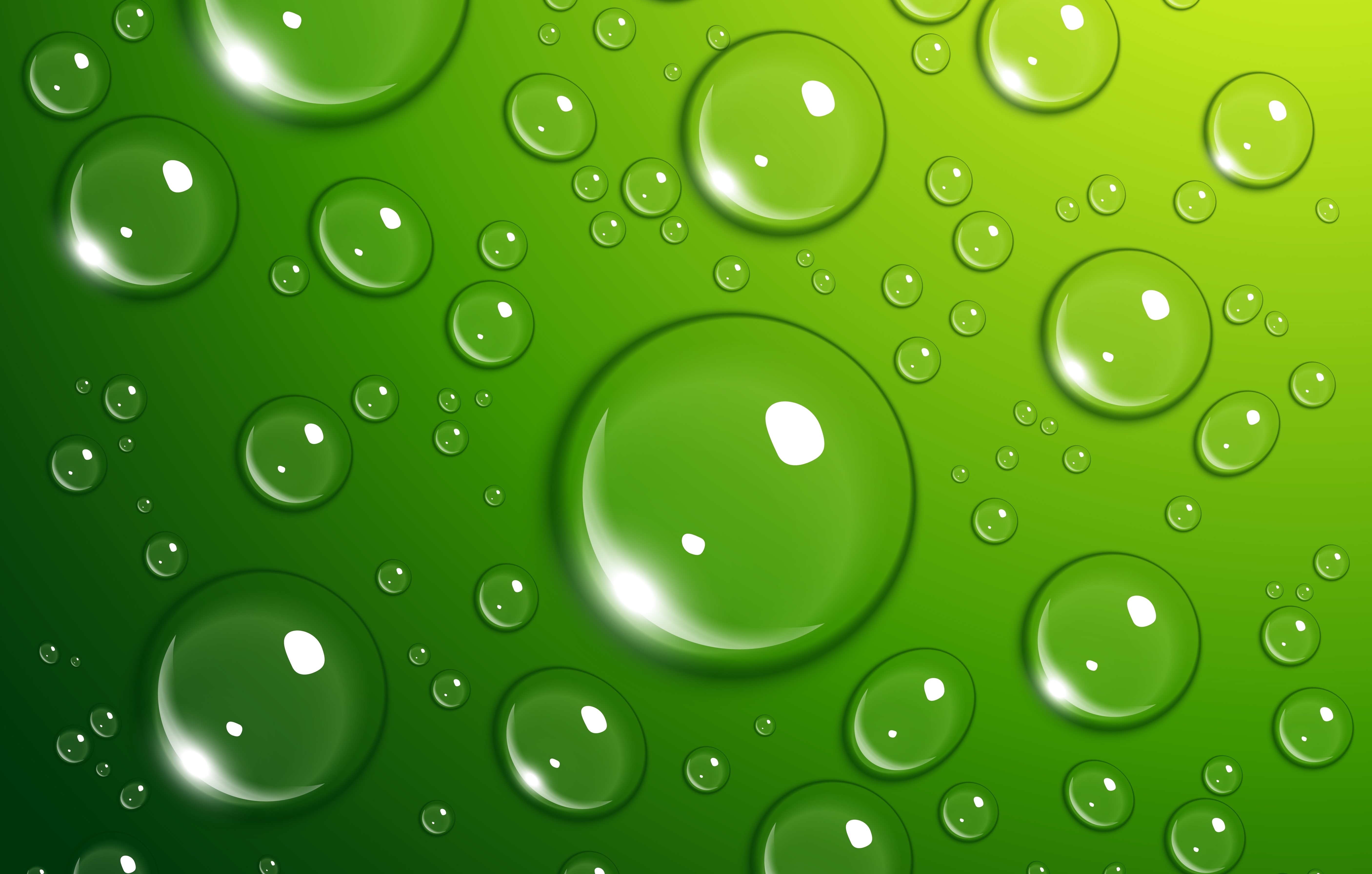 Water Drops on Green Surface HD Wallpaper