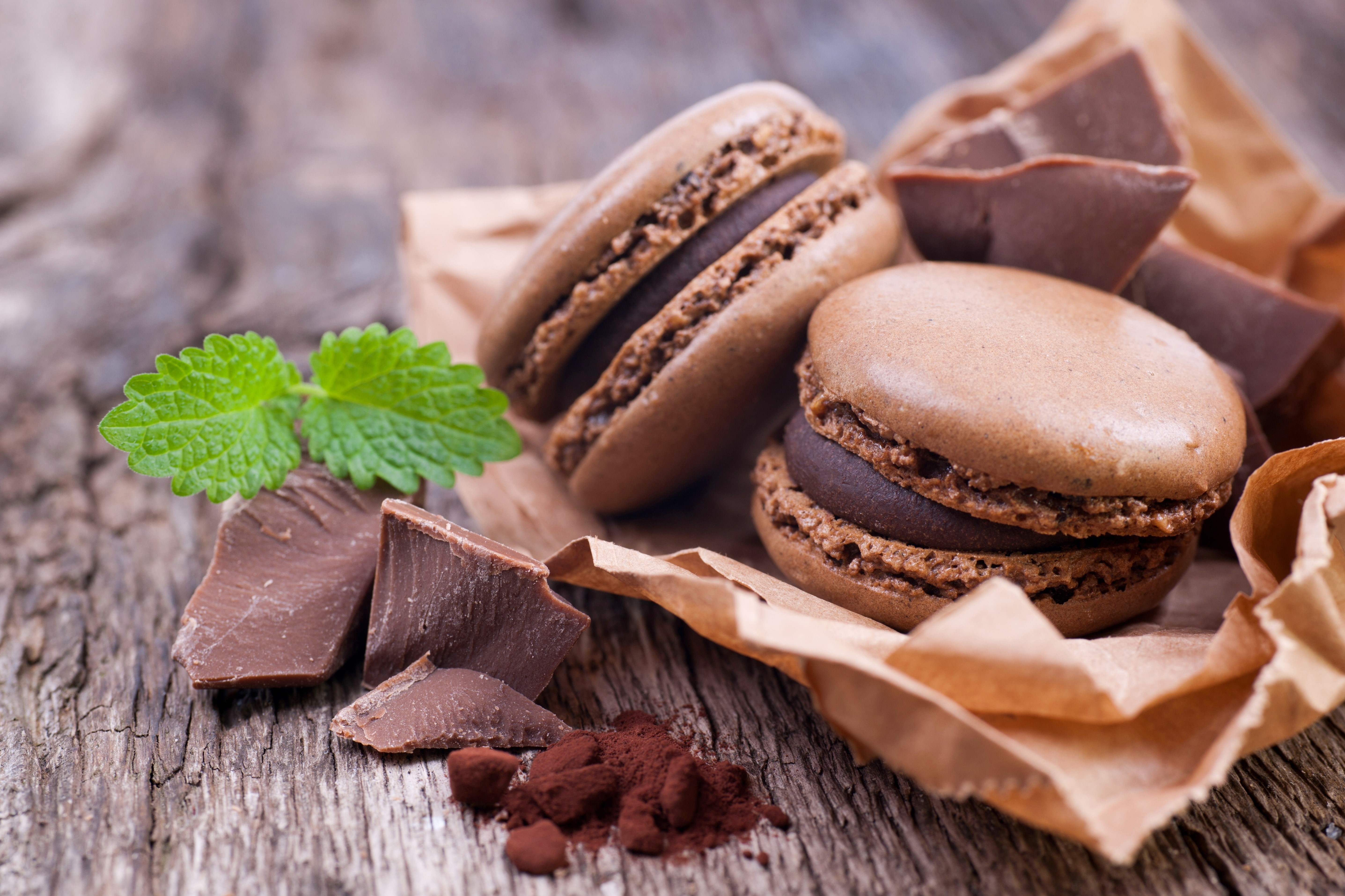 Chocolate Macarons with Chocolate Chunks and Mint HD Wallpaper