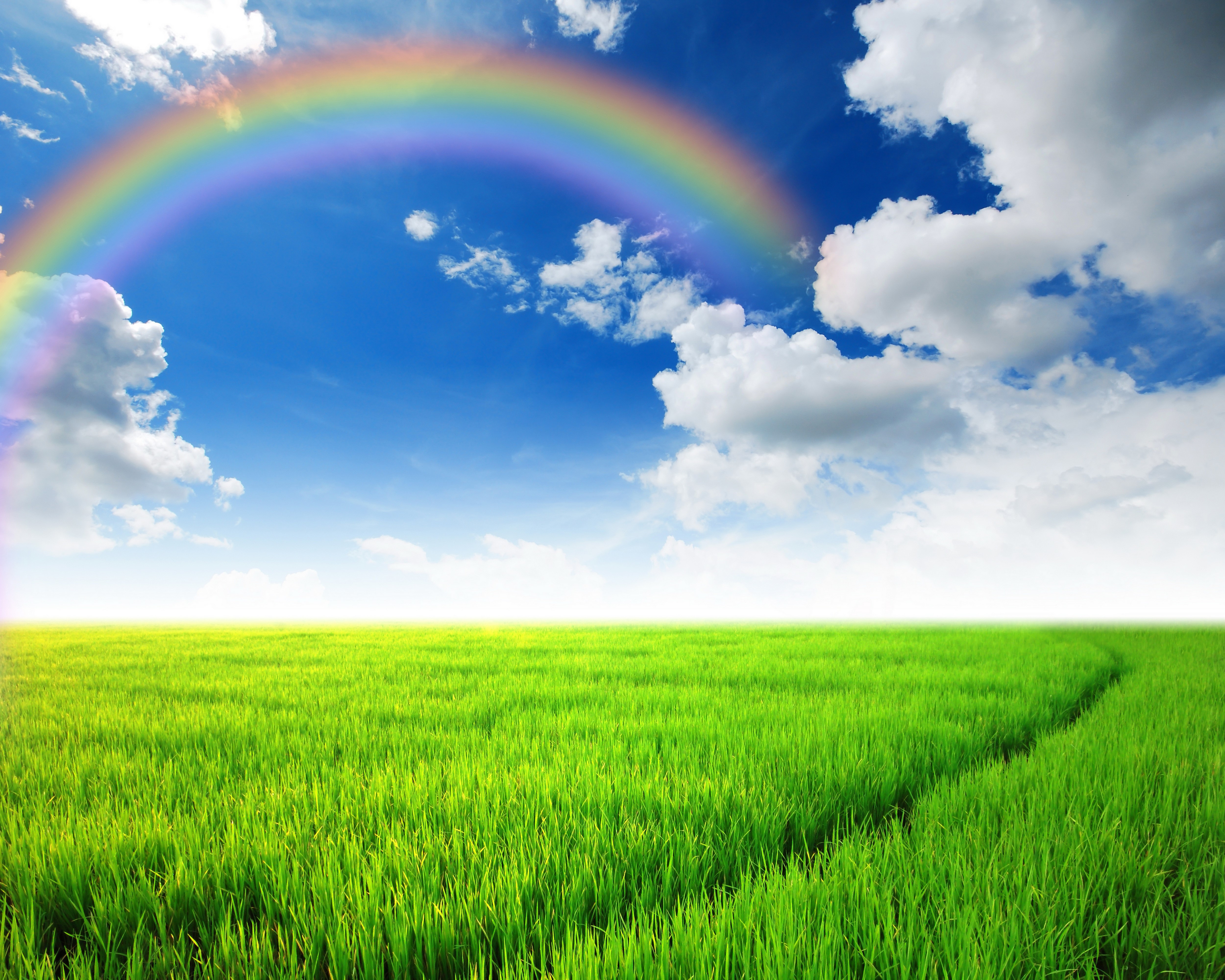 Green Field with Rainbow and Clouds HD Wallpaper