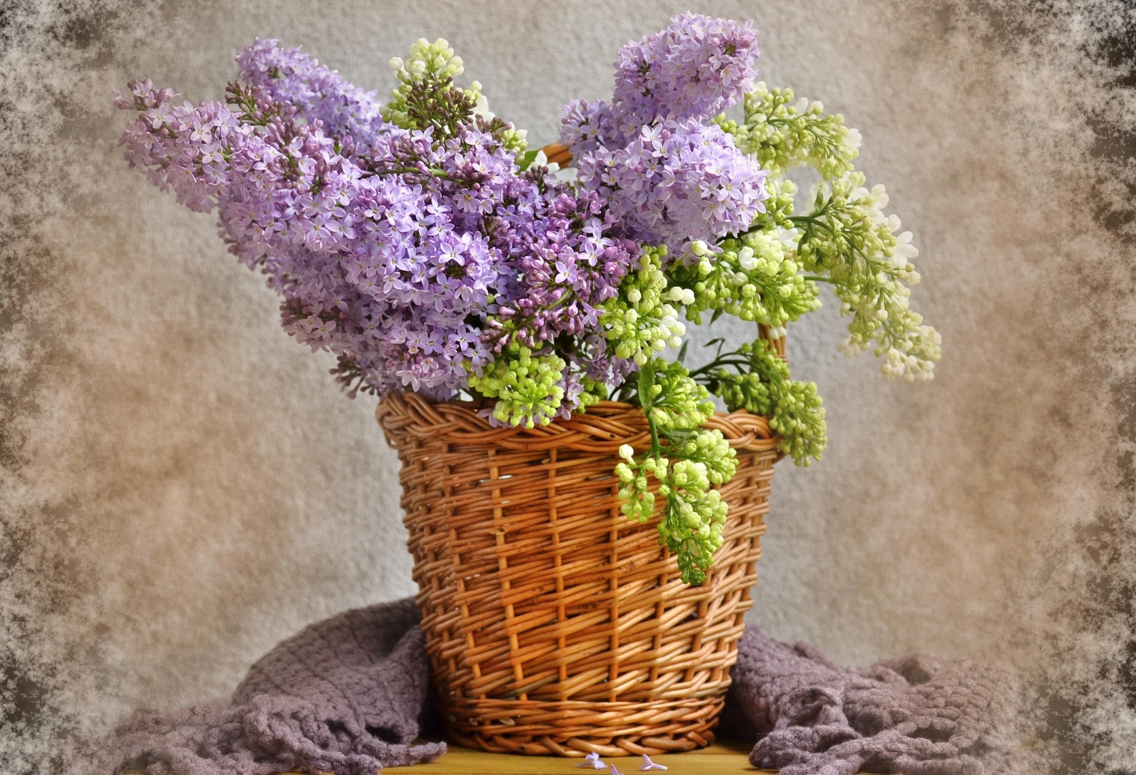 Lilac flowers in a wicker basket with a purple scarf HD Wallpaper