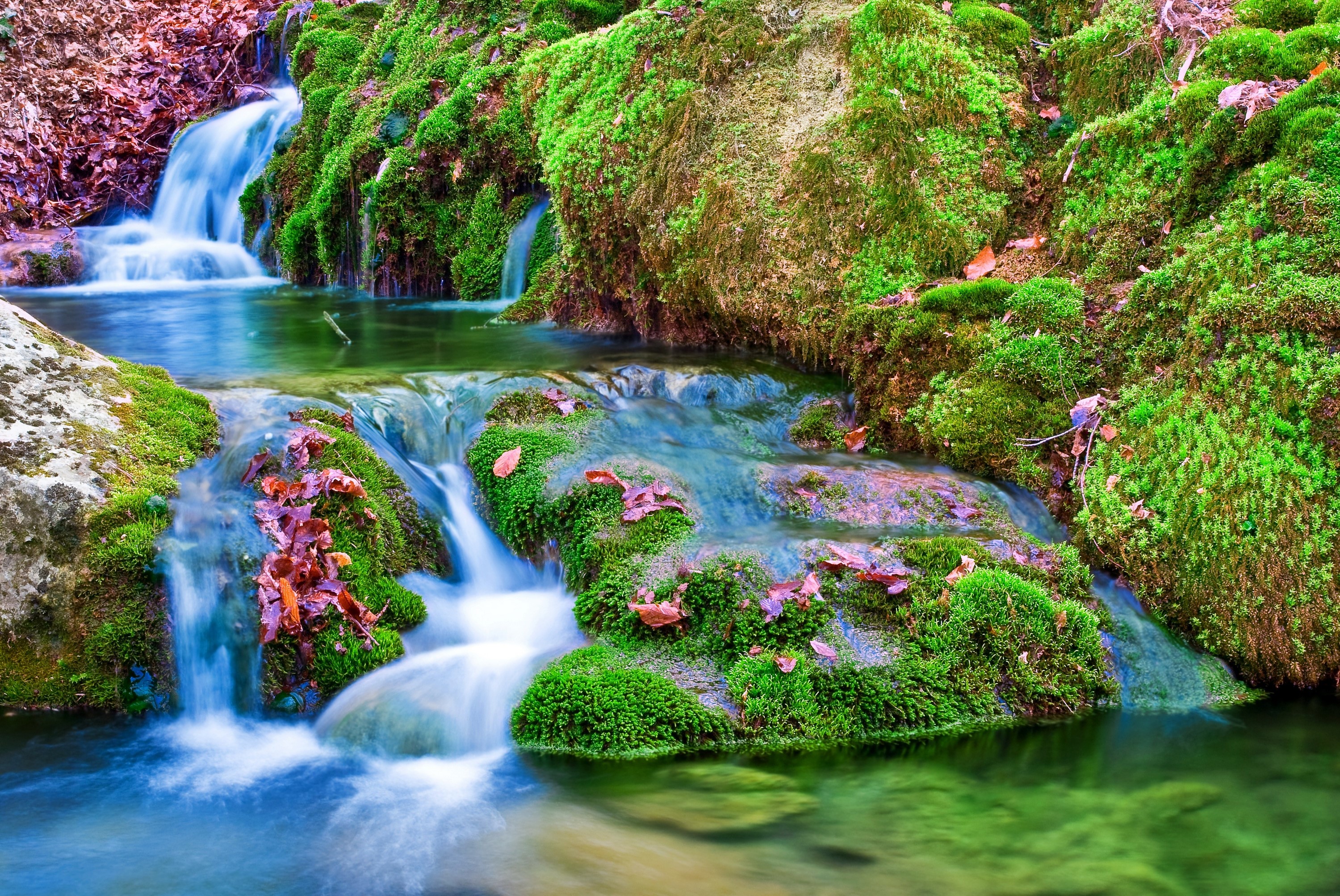 Mossy rocks with small waterfalls and fallen leaves HD Wallpaper