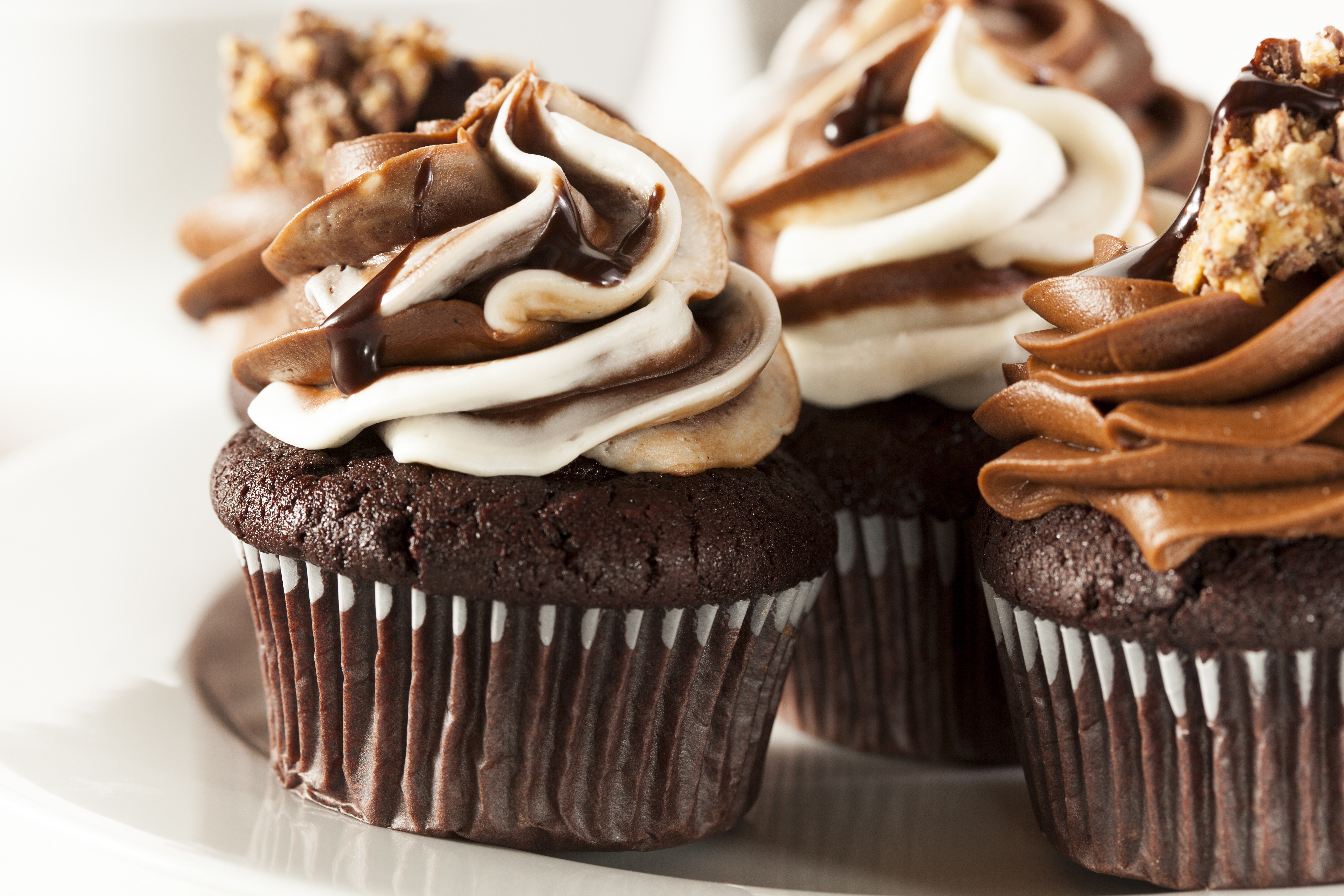 Chocolate cupcakes with swirled frosting HD Wallpaper