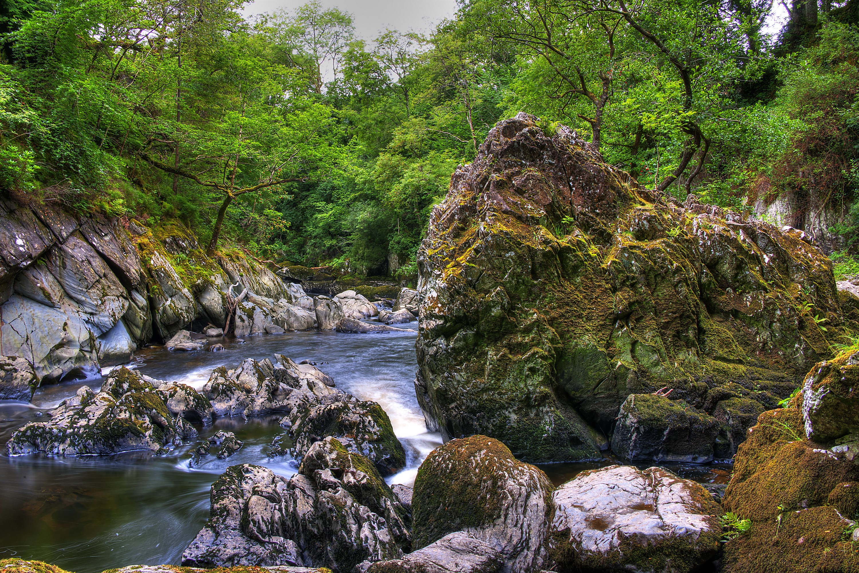 River flowing through a rocky forest in the United Kingdom HD Wallpaper