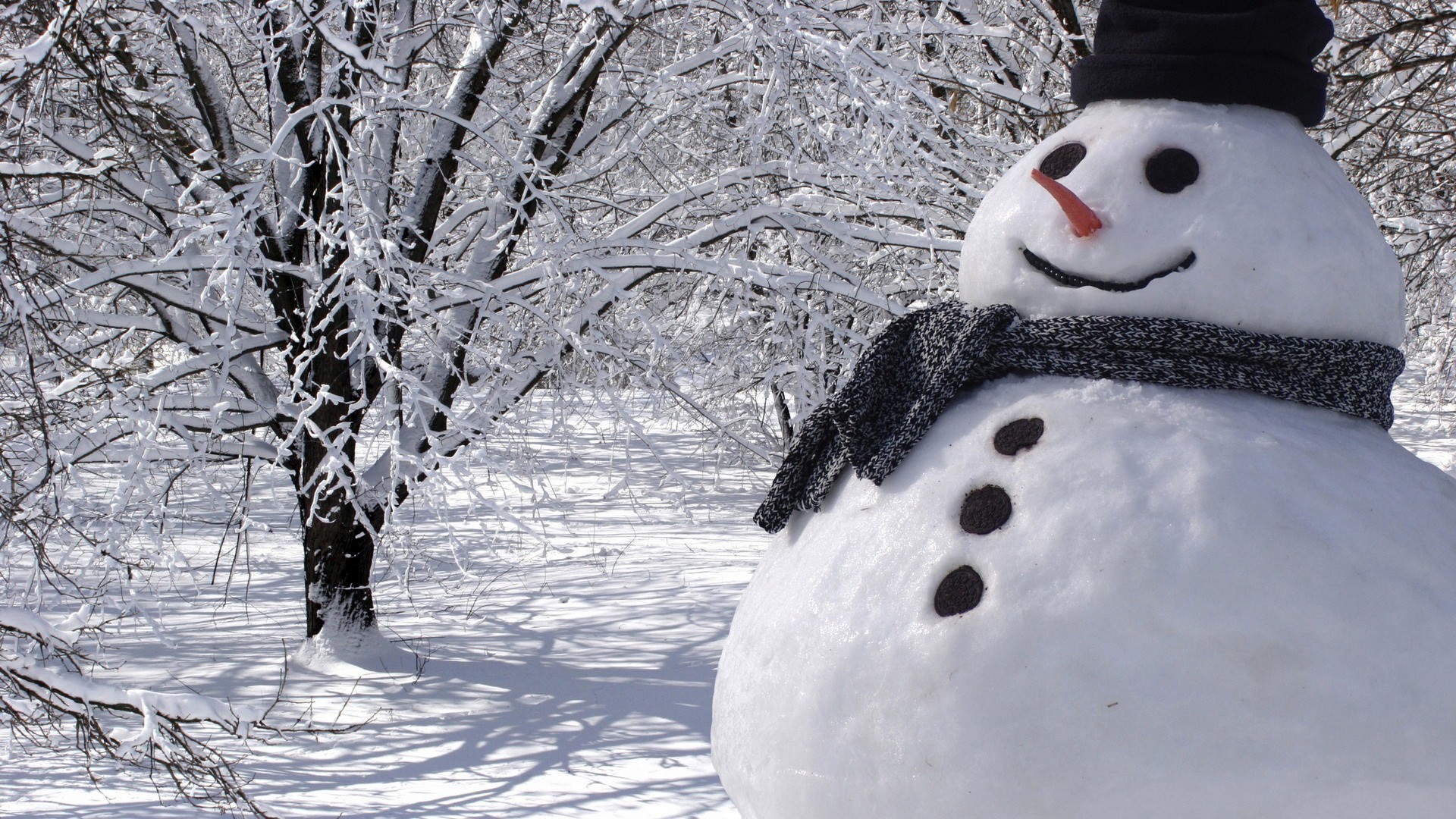 Snowman in a snowy forest HD Wallpaper
